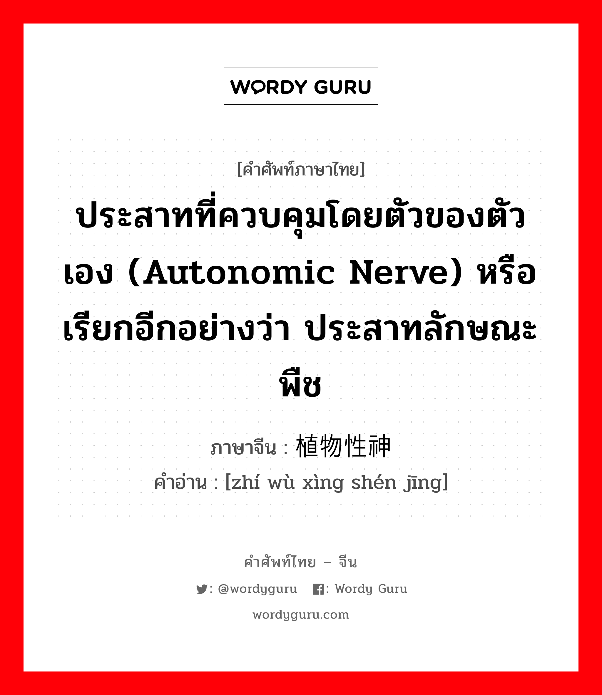 ประสาทที่ควบคุมโดยตัวของตัวเอง (autonomic nerve) หรือเรียกอีกอย่างว่า ประสาทลักษณะพืช ภาษาจีนคืออะไร, คำศัพท์ภาษาไทย - จีน ประสาทที่ควบคุมโดยตัวของตัวเอง (autonomic nerve) หรือเรียกอีกอย่างว่า ประสาทลักษณะพืช ภาษาจีน 植物性神经 คำอ่าน [zhí wù xìng shén jīng]