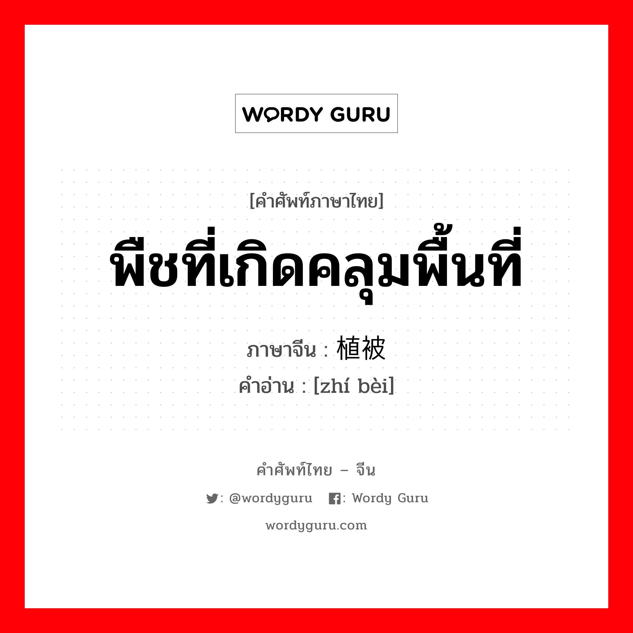 พืชที่เกิดคลุมพื้นที่ ภาษาจีนคืออะไร, คำศัพท์ภาษาไทย - จีน พืชที่เกิดคลุมพื้นที่ ภาษาจีน 植被 คำอ่าน [zhí bèi]