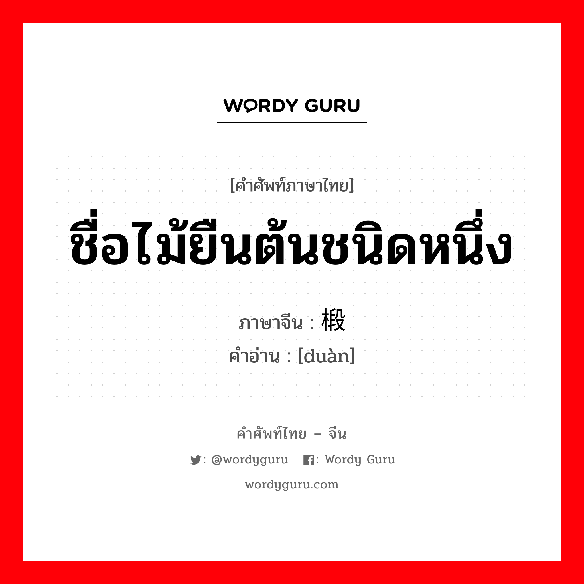 ชื่อไม้ยืนต้นชนิดหนึ่ง ภาษาจีนคืออะไร, คำศัพท์ภาษาไทย - จีน ชื่อไม้ยืนต้นชนิดหนึ่ง ภาษาจีน 椴 คำอ่าน [duàn]