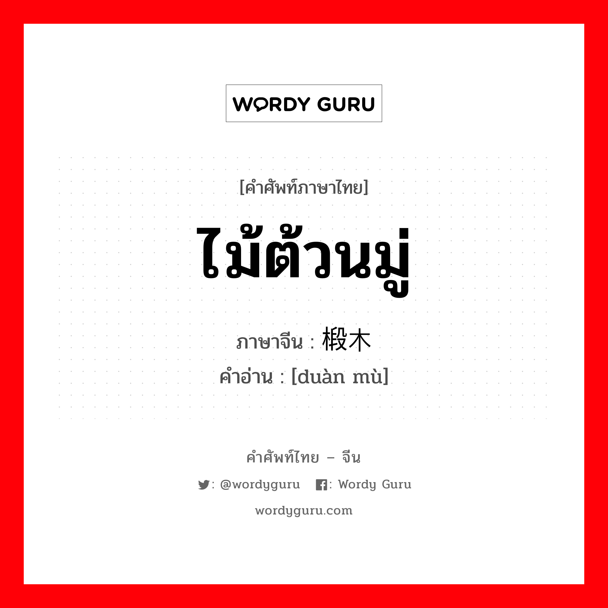 ไม้ต้วนมู่ ภาษาจีนคืออะไร, คำศัพท์ภาษาไทย - จีน ไม้ต้วนมู่ ภาษาจีน 椴木 คำอ่าน [duàn mù]