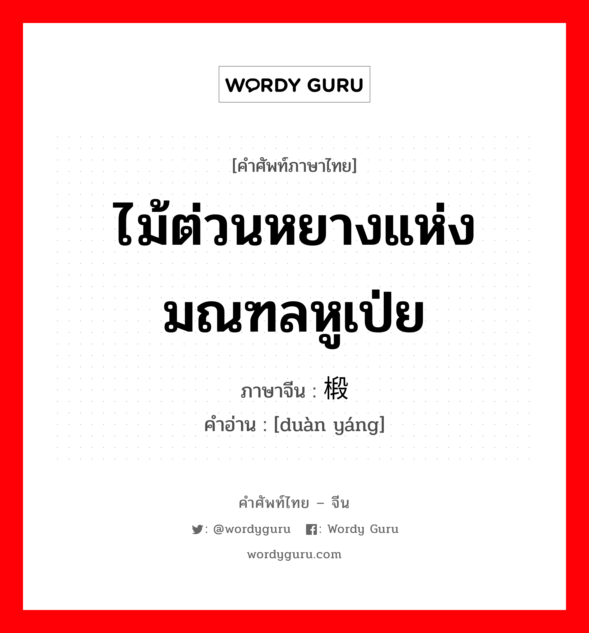 ไม้ต่วนหยางแห่งมณฑลหูเป่ย ภาษาจีนคืออะไร, คำศัพท์ภาษาไทย - จีน ไม้ต่วนหยางแห่งมณฑลหูเป่ย ภาษาจีน 椴杨 คำอ่าน [duàn yáng]