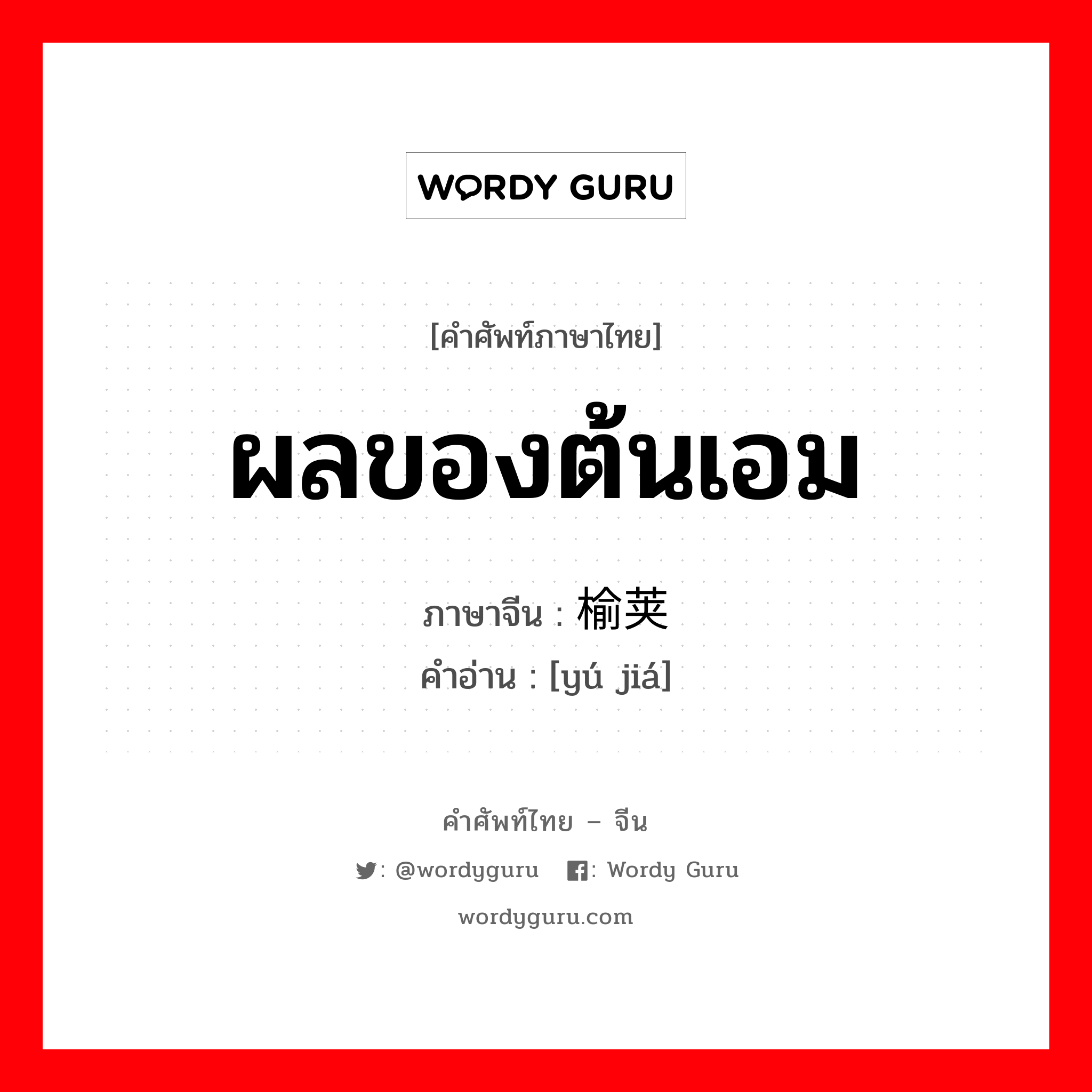 ผลของต้นเอม ภาษาจีนคืออะไร, คำศัพท์ภาษาไทย - จีน ผลของต้นเอม ภาษาจีน 榆荚 คำอ่าน [yú jiá]