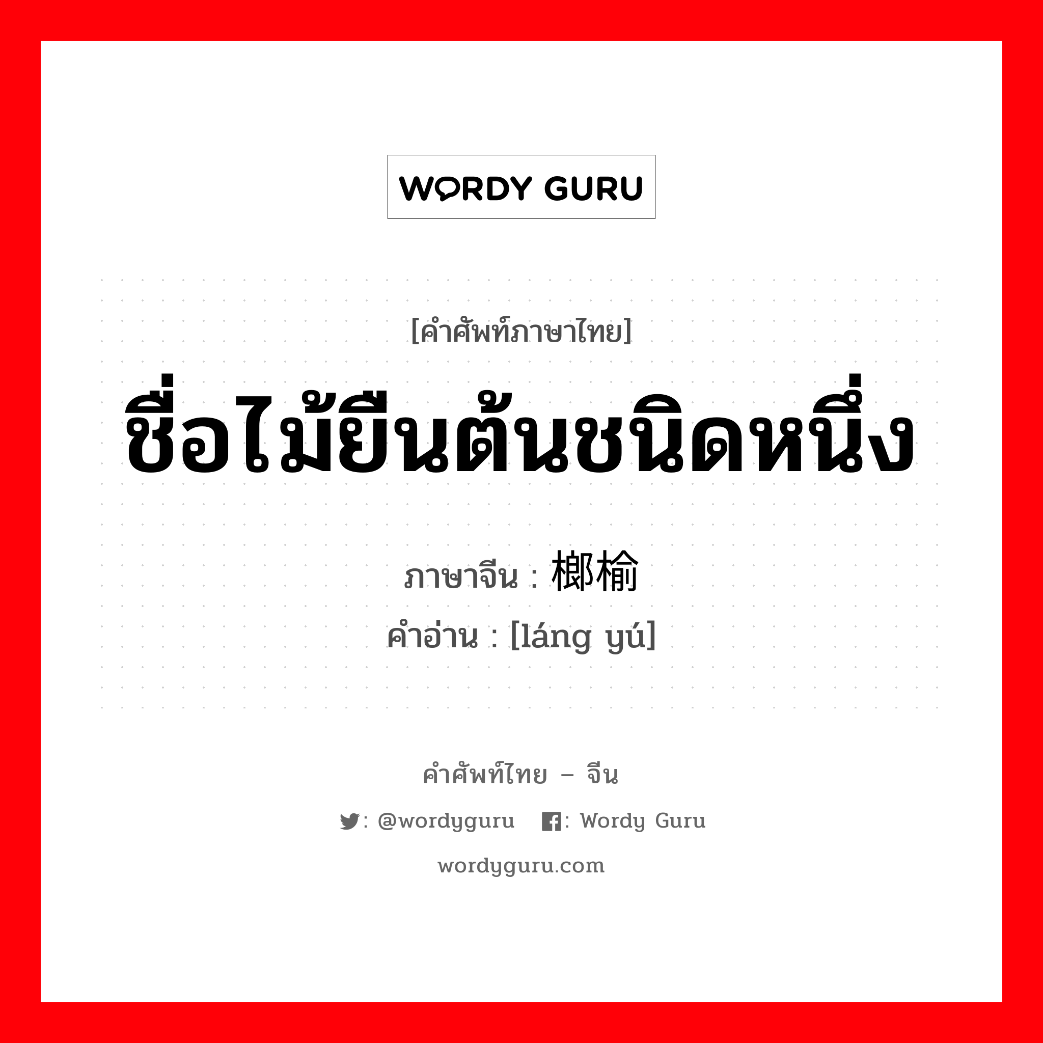 ชื่อไม้ยืนต้นชนิดหนึ่ง ภาษาจีนคืออะไร, คำศัพท์ภาษาไทย - จีน ชื่อไม้ยืนต้นชนิดหนึ่ง ภาษาจีน 榔榆 คำอ่าน [láng yú]