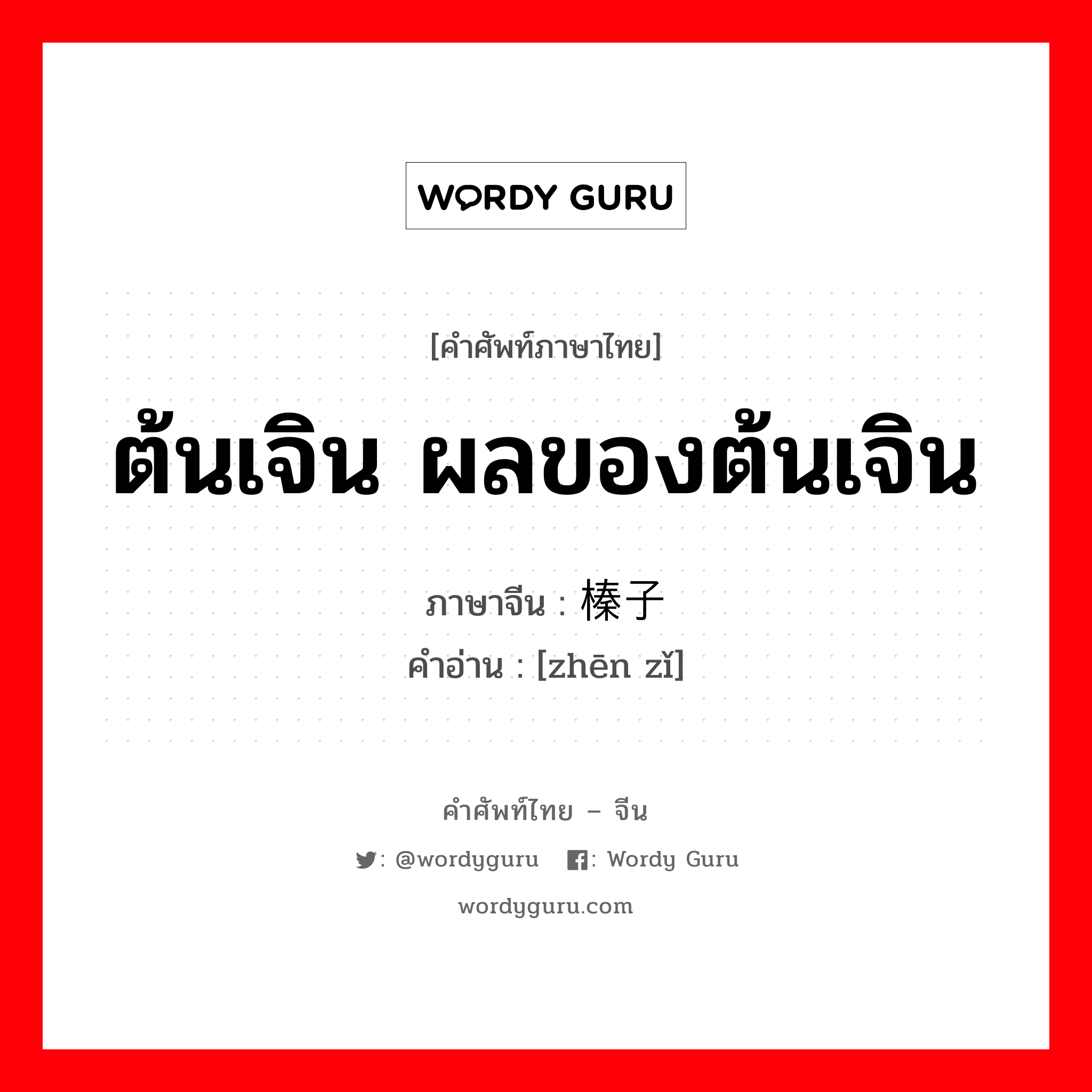 ต้นเจิน ผลของต้นเจิน ภาษาจีนคืออะไร, คำศัพท์ภาษาไทย - จีน ต้นเจิน ผลของต้นเจิน ภาษาจีน 榛子 คำอ่าน [zhēn zǐ]