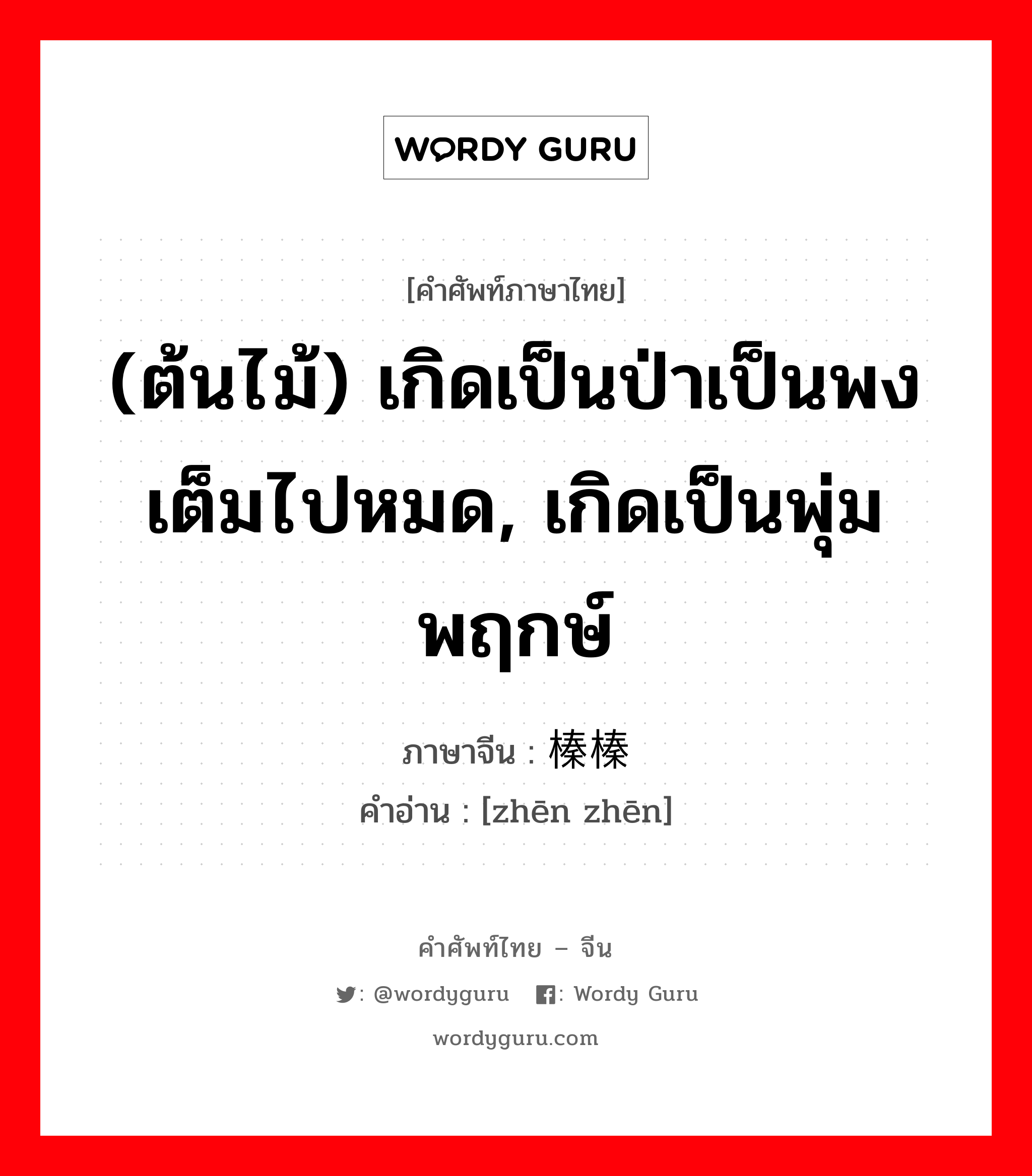 (ต้นไม้) เกิดเป็นป่าเป็นพงเต็มไปหมด, เกิดเป็นพุ่มพฤกษ์ ภาษาจีนคืออะไร, คำศัพท์ภาษาไทย - จีน (ต้นไม้) เกิดเป็นป่าเป็นพงเต็มไปหมด, เกิดเป็นพุ่มพฤกษ์ ภาษาจีน 榛榛 คำอ่าน [zhēn zhēn]