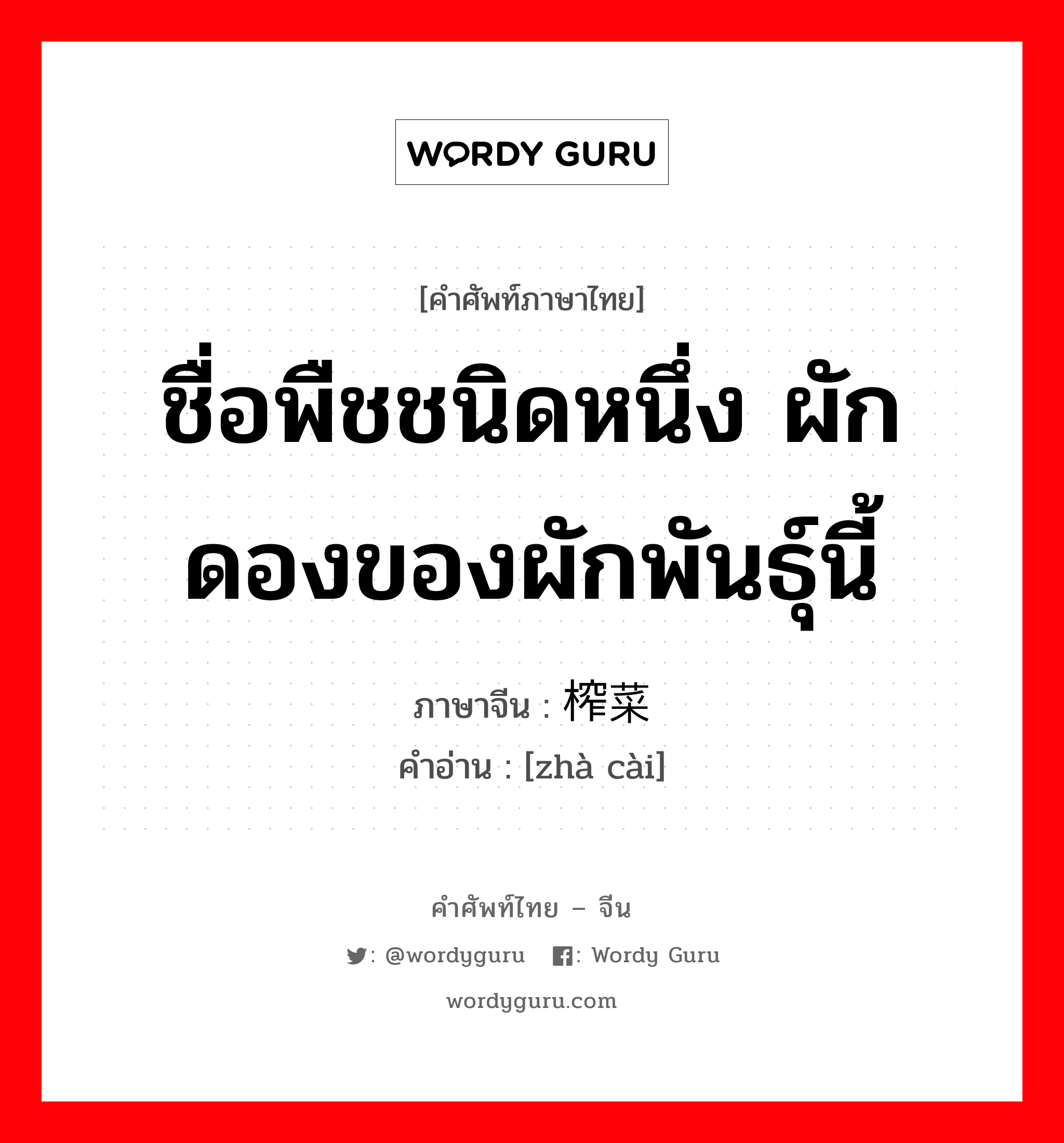 ชื่อพืชชนิดหนึ่ง ผักดองของผักพันธุ์นี้ ภาษาจีนคืออะไร, คำศัพท์ภาษาไทย - จีน ชื่อพืชชนิดหนึ่ง ผักดองของผักพันธุ์นี้ ภาษาจีน 榨菜 คำอ่าน [zhà cài]