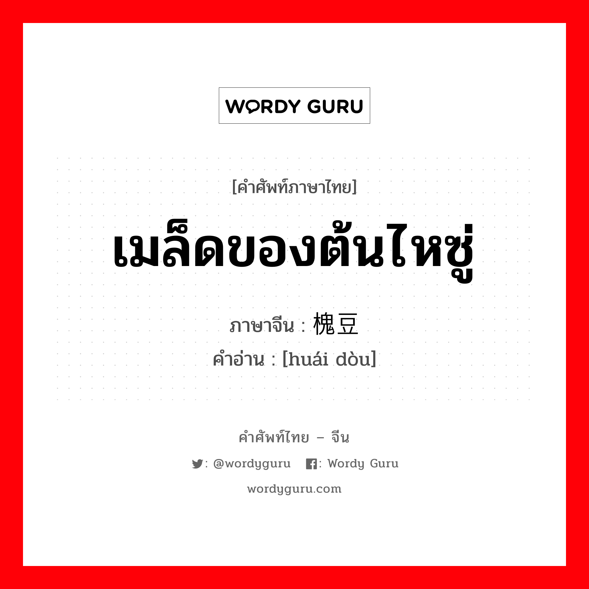 เมล็ดของต้นไหซู่ ภาษาจีนคืออะไร, คำศัพท์ภาษาไทย - จีน เมล็ดของต้นไหซู่ ภาษาจีน 槐豆 คำอ่าน [huái dòu]