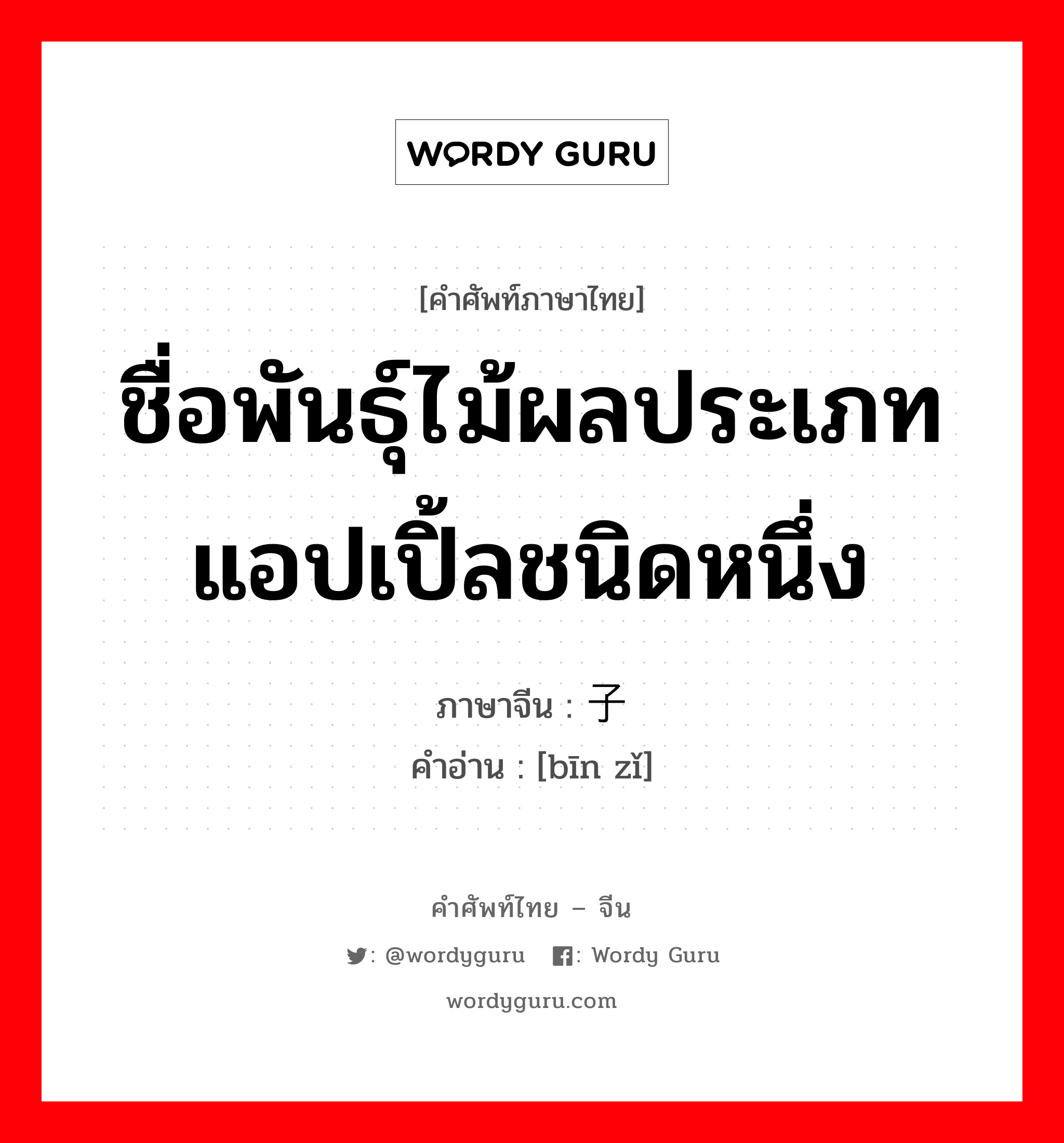 ชื่อพันธุ์ไม้ผลประเภท แอปเปิ้ลชนิดหนึ่ง ภาษาจีนคืออะไร, คำศัพท์ภาษาไทย - จีน ชื่อพันธุ์ไม้ผลประเภท แอปเปิ้ลชนิดหนึ่ง ภาษาจีน 槟子 คำอ่าน [bīn zǐ]