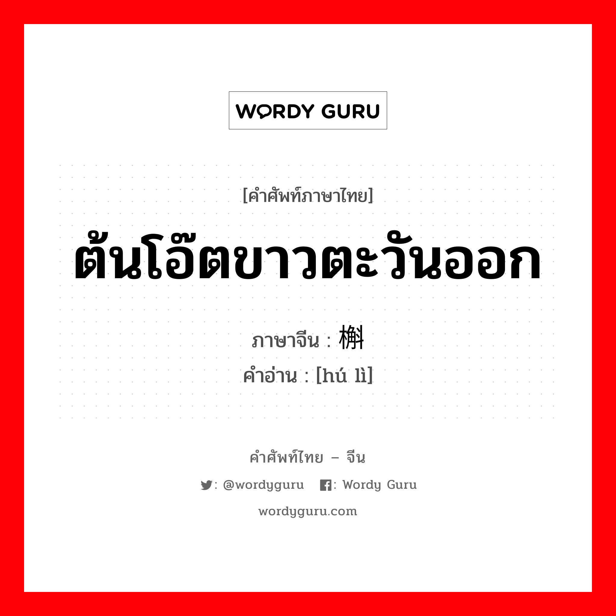 ต้นโอ๊ตขาวตะวันออก ภาษาจีนคืออะไร, คำศัพท์ภาษาไทย - จีน ต้นโอ๊ตขาวตะวันออก ภาษาจีน 槲栎 คำอ่าน [hú lì]