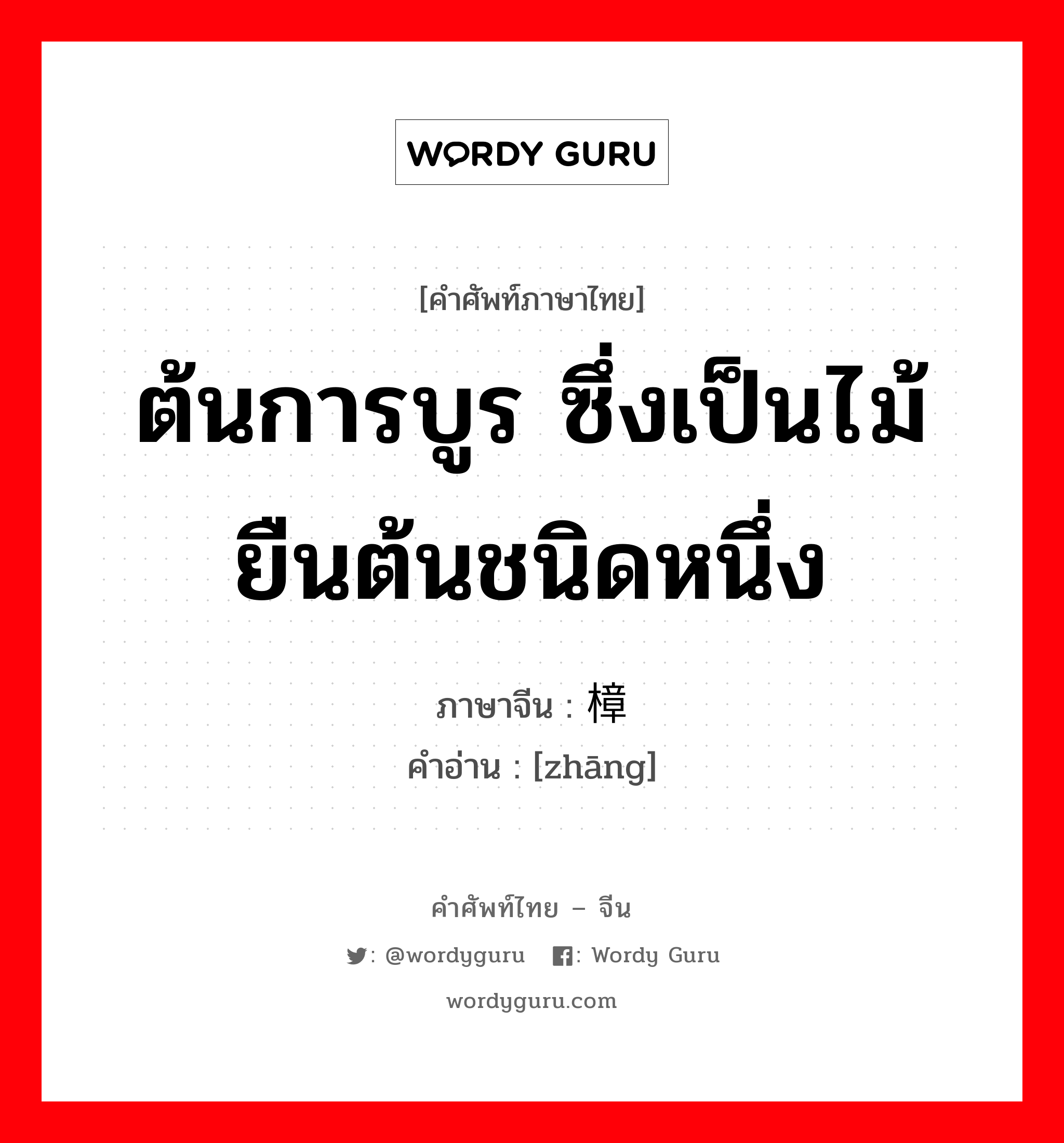 ต้นการบูร ซึ่งเป็นไม้ยืนต้นชนิดหนึ่ง ภาษาจีนคืออะไร, คำศัพท์ภาษาไทย - จีน ต้นการบูร ซึ่งเป็นไม้ยืนต้นชนิดหนึ่ง ภาษาจีน 樟 คำอ่าน [zhāng]