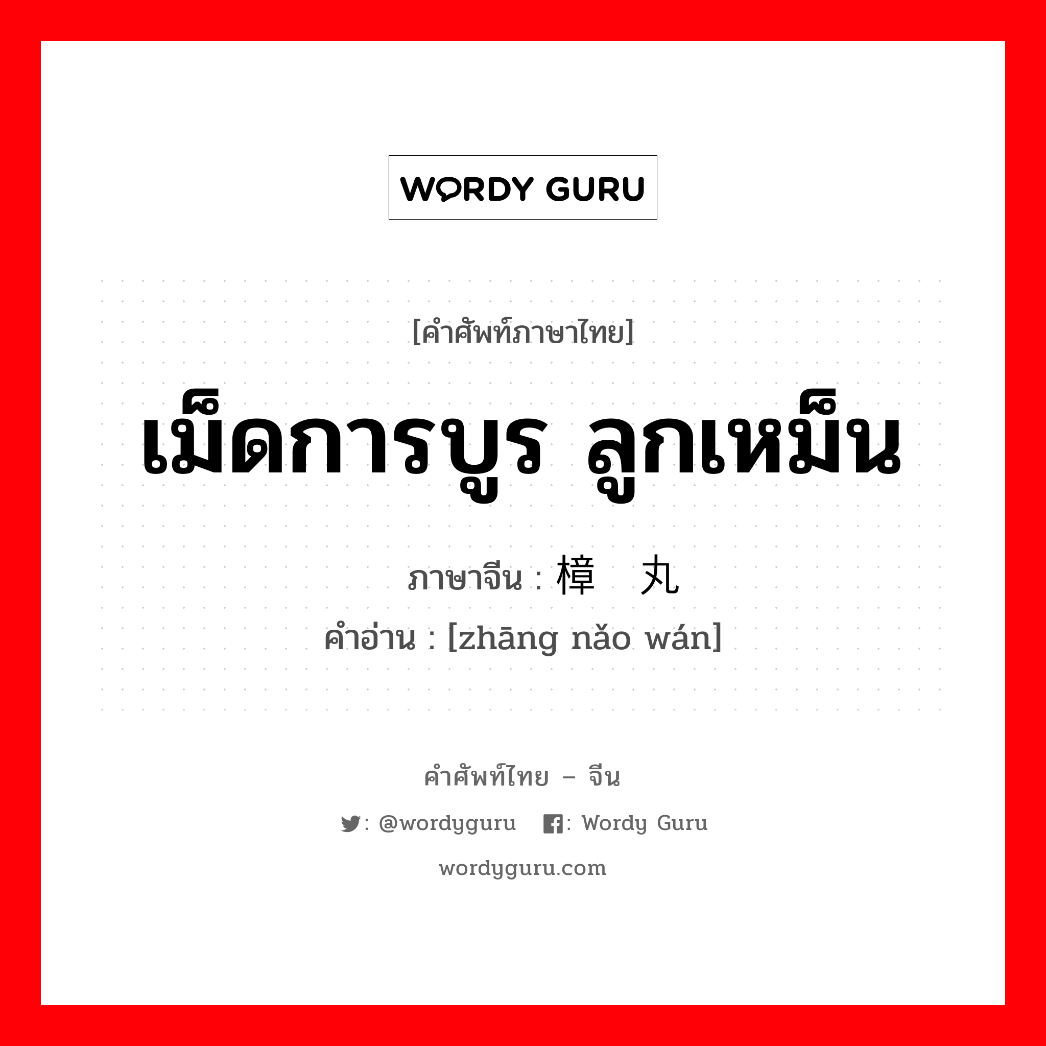 เม็ดการบูร ลูกเหม็น ภาษาจีนคืออะไร, คำศัพท์ภาษาไทย - จีน เม็ดการบูร ลูกเหม็น ภาษาจีน 樟脑丸 คำอ่าน [zhāng nǎo wán]