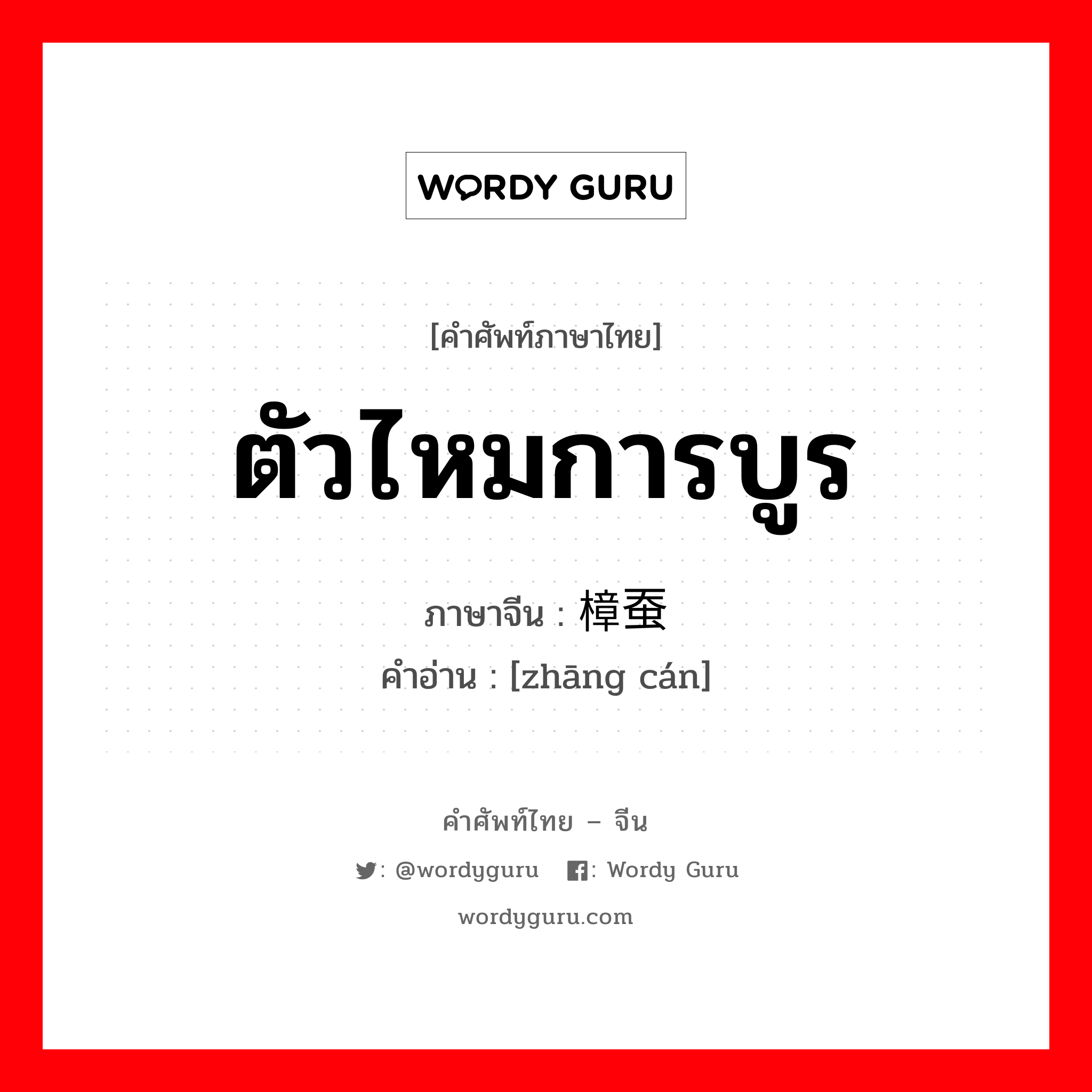 ตัวไหมการบูร ภาษาจีนคืออะไร, คำศัพท์ภาษาไทย - จีน ตัวไหมการบูร ภาษาจีน 樟蚕 คำอ่าน [zhāng cán]