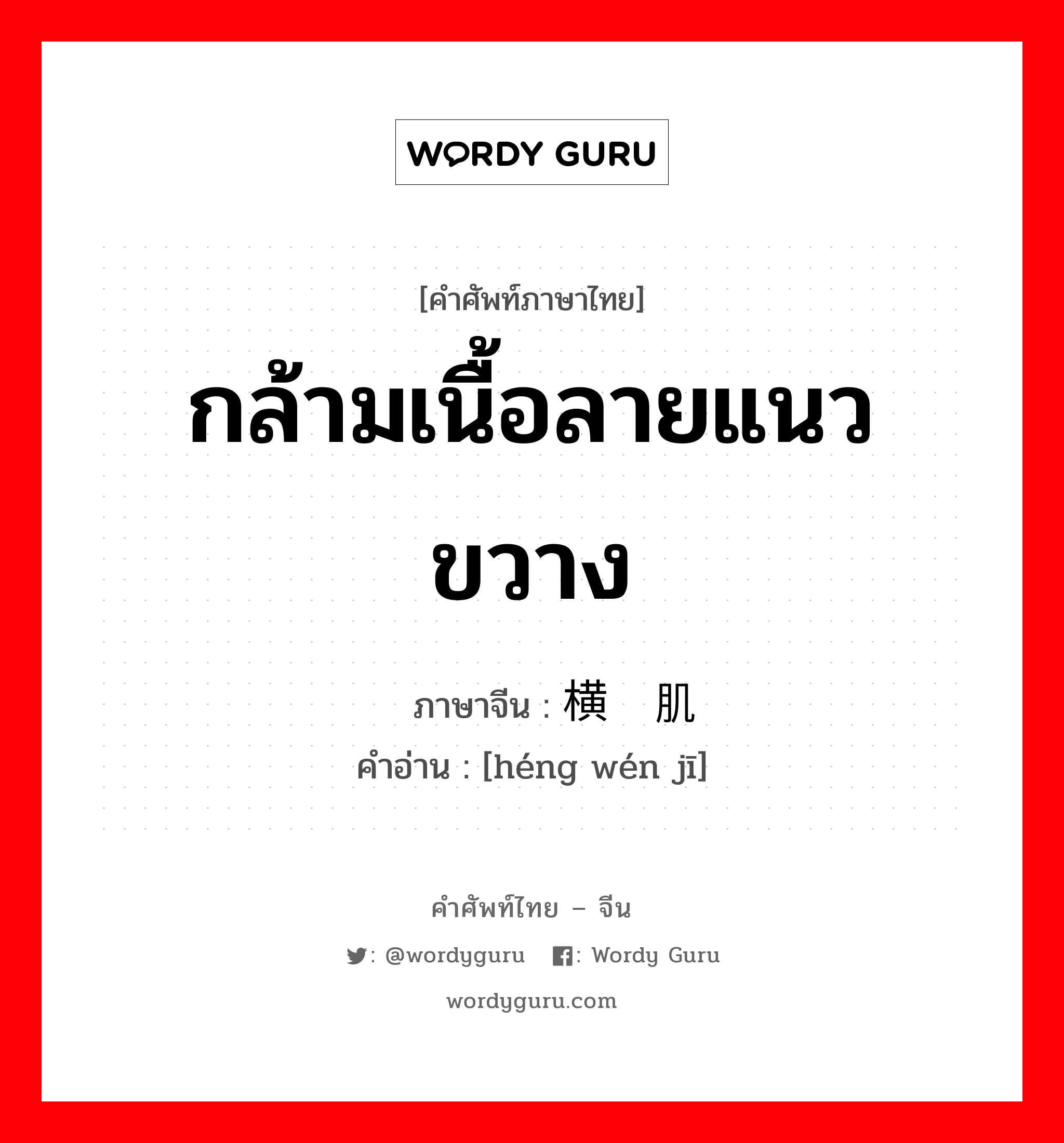 กล้ามเนื้อลายแนวขวาง ภาษาจีนคืออะไร, คำศัพท์ภาษาไทย - จีน กล้ามเนื้อลายแนวขวาง ภาษาจีน 横纹肌 คำอ่าน [héng wén jī]