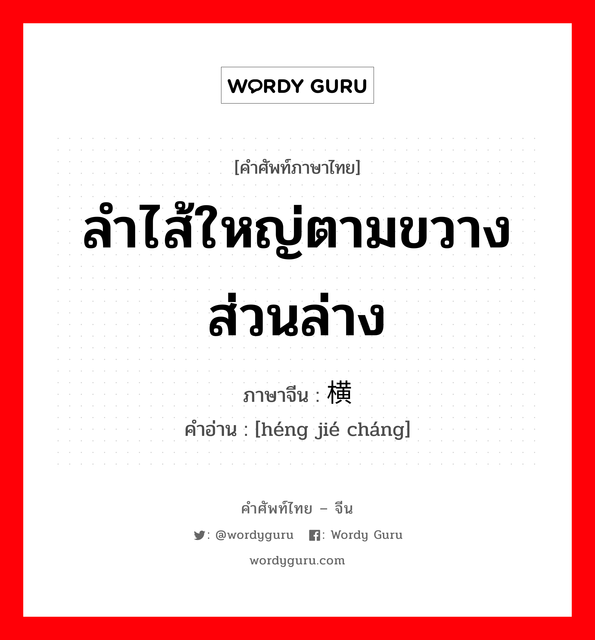 ลำไส้ใหญ่ตามขวางส่วนล่าง ภาษาจีนคืออะไร, คำศัพท์ภาษาไทย - จีน ลำไส้ใหญ่ตามขวางส่วนล่าง ภาษาจีน 横结肠 คำอ่าน [héng jié cháng]