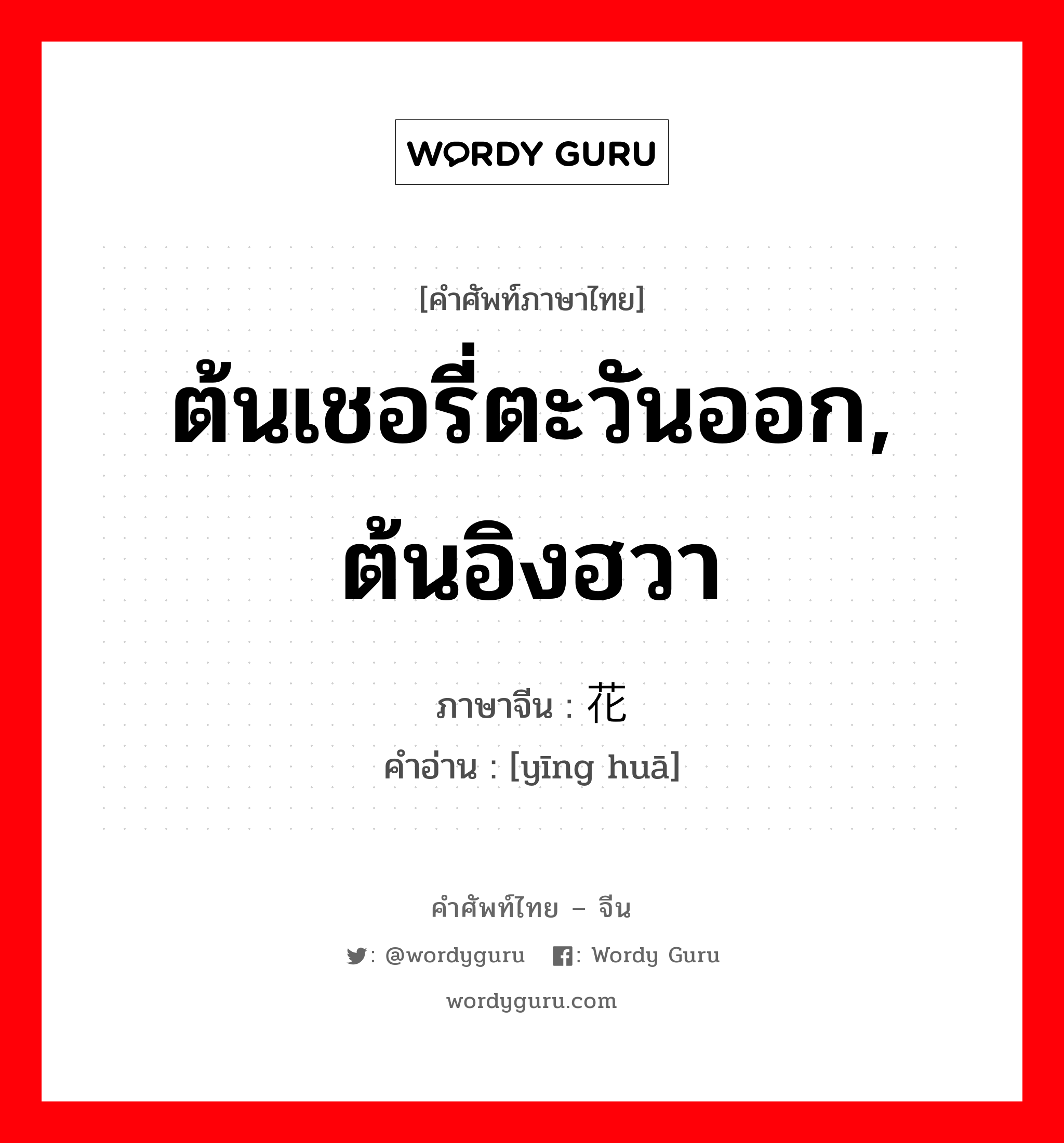 ต้นเชอรี่ตะวันออก, ต้นอิงฮวา ภาษาจีนคืออะไร, คำศัพท์ภาษาไทย - จีน ต้นเชอรี่ตะวันออก, ต้นอิงฮวา ภาษาจีน 樱花 คำอ่าน [yīng huā]