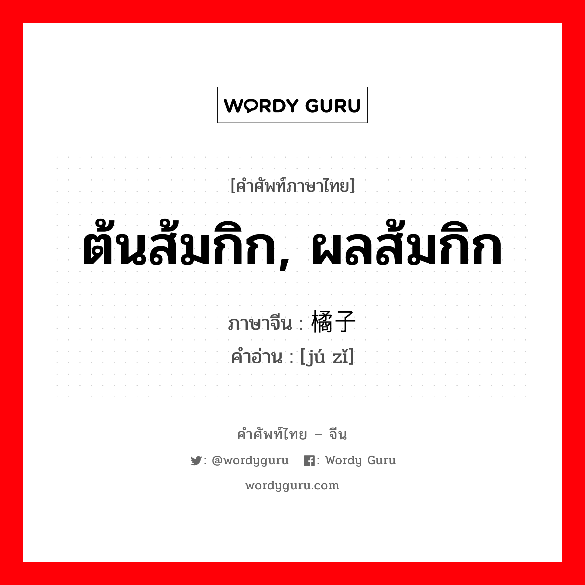 ต้นส้มกิก, ผลส้มกิก ภาษาจีนคืออะไร, คำศัพท์ภาษาไทย - จีน ต้นส้มกิก, ผลส้มกิก ภาษาจีน 橘子 คำอ่าน [jú zǐ]