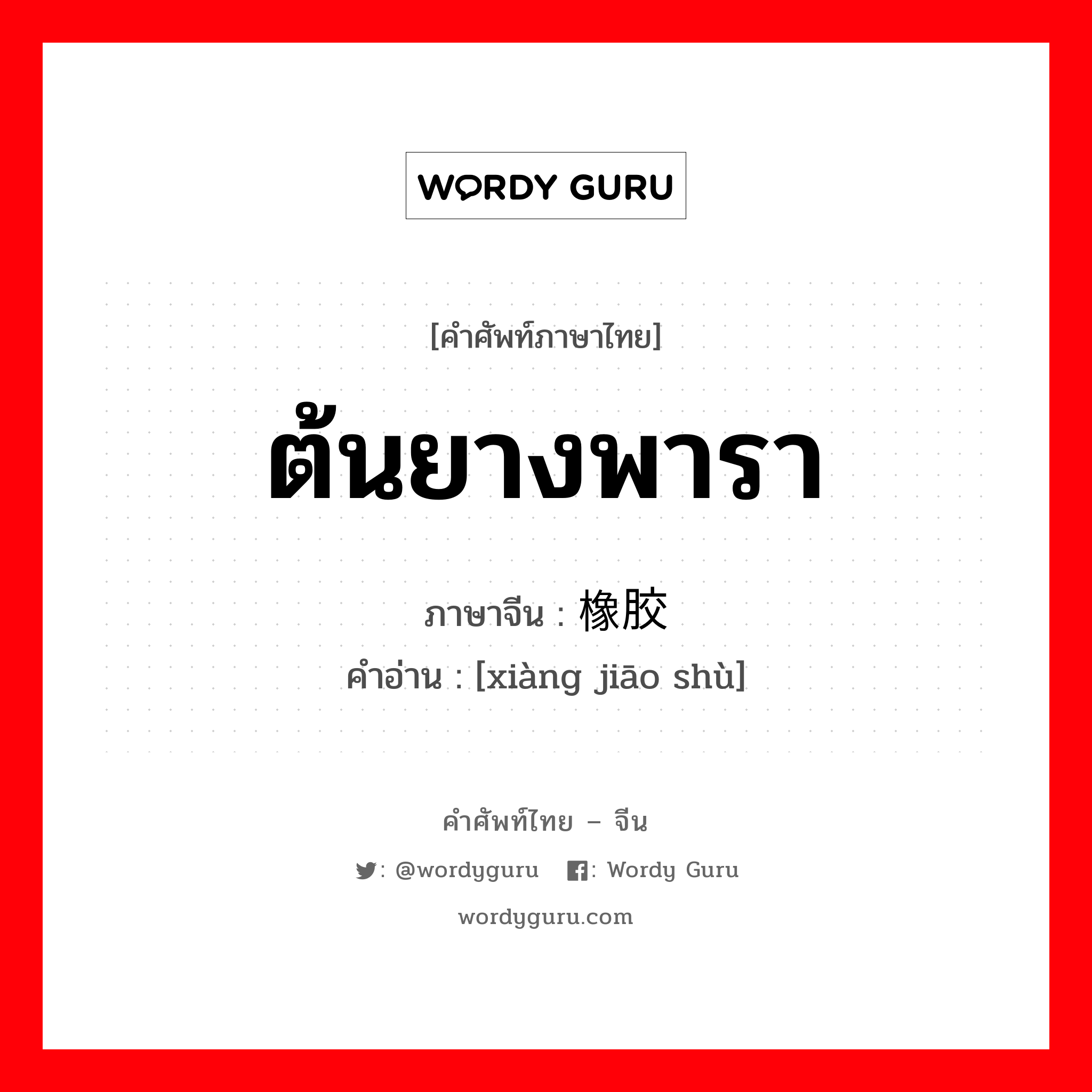 ต้นยางพารา ภาษาจีนคืออะไร, คำศัพท์ภาษาไทย - จีน ต้นยางพารา ภาษาจีน 橡胶树 คำอ่าน [xiàng jiāo shù]