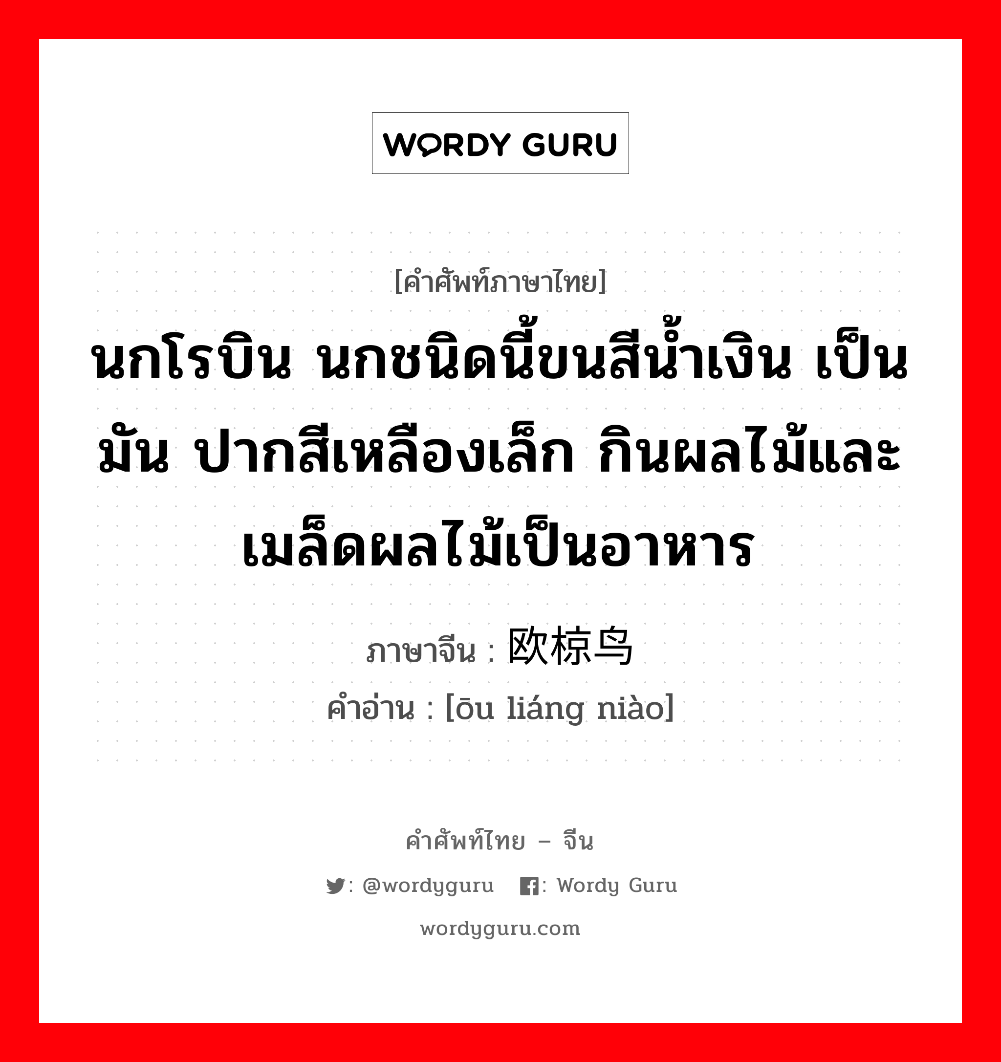 นกโรบิน นกชนิดนี้ขนสีน้ำเงิน เป็นมัน ปากสีเหลืองเล็ก กินผลไม้และเมล็ดผลไม้เป็นอาหาร ภาษาจีนคืออะไร, คำศัพท์ภาษาไทย - จีน นกโรบิน นกชนิดนี้ขนสีน้ำเงิน เป็นมัน ปากสีเหลืองเล็ก กินผลไม้และเมล็ดผลไม้เป็นอาหาร ภาษาจีน 欧椋鸟 คำอ่าน [ōu liáng niào]