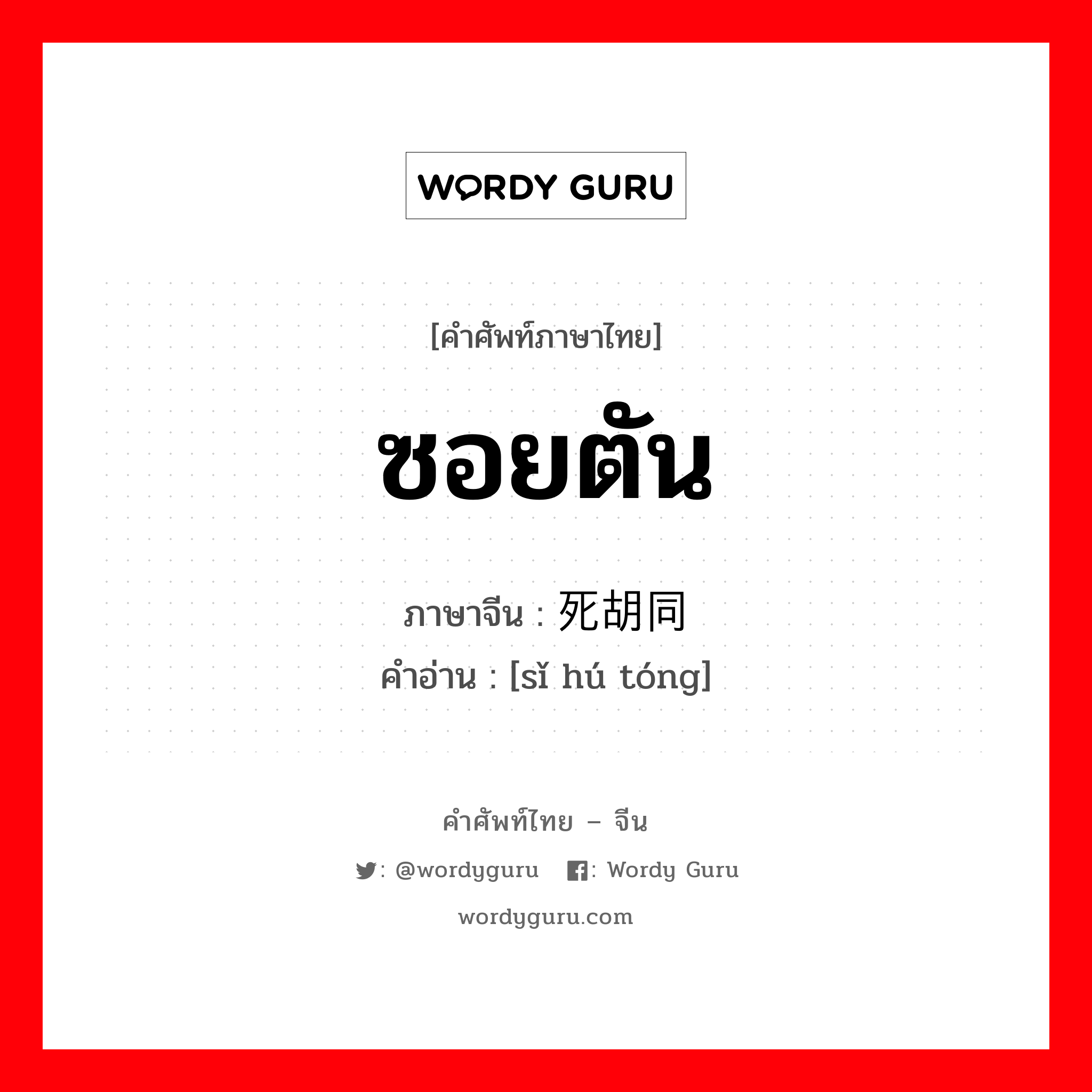 ซอยตัน ภาษาจีนคืออะไร, คำศัพท์ภาษาไทย - จีน ซอยตัน ภาษาจีน 死胡同 คำอ่าน [sǐ hú tóng]