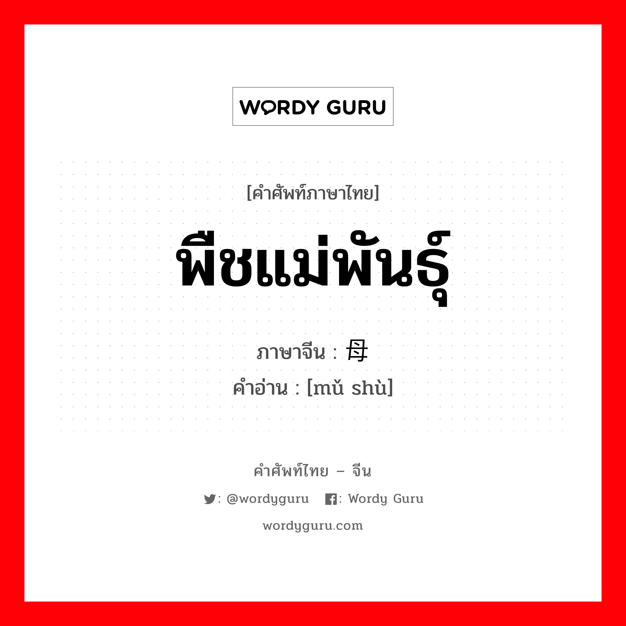 พืชแม่พันธุ์ ภาษาจีนคืออะไร, คำศัพท์ภาษาไทย - จีน พืชแม่พันธุ์ ภาษาจีน 母树 คำอ่าน [mǔ shù]