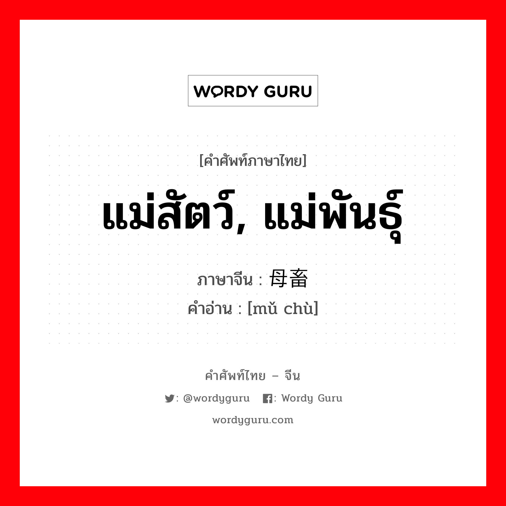 แม่สัตว์, แม่พันธุ์ ภาษาจีนคืออะไร, คำศัพท์ภาษาไทย - จีน แม่สัตว์, แม่พันธุ์ ภาษาจีน 母畜 คำอ่าน [mǔ chù]