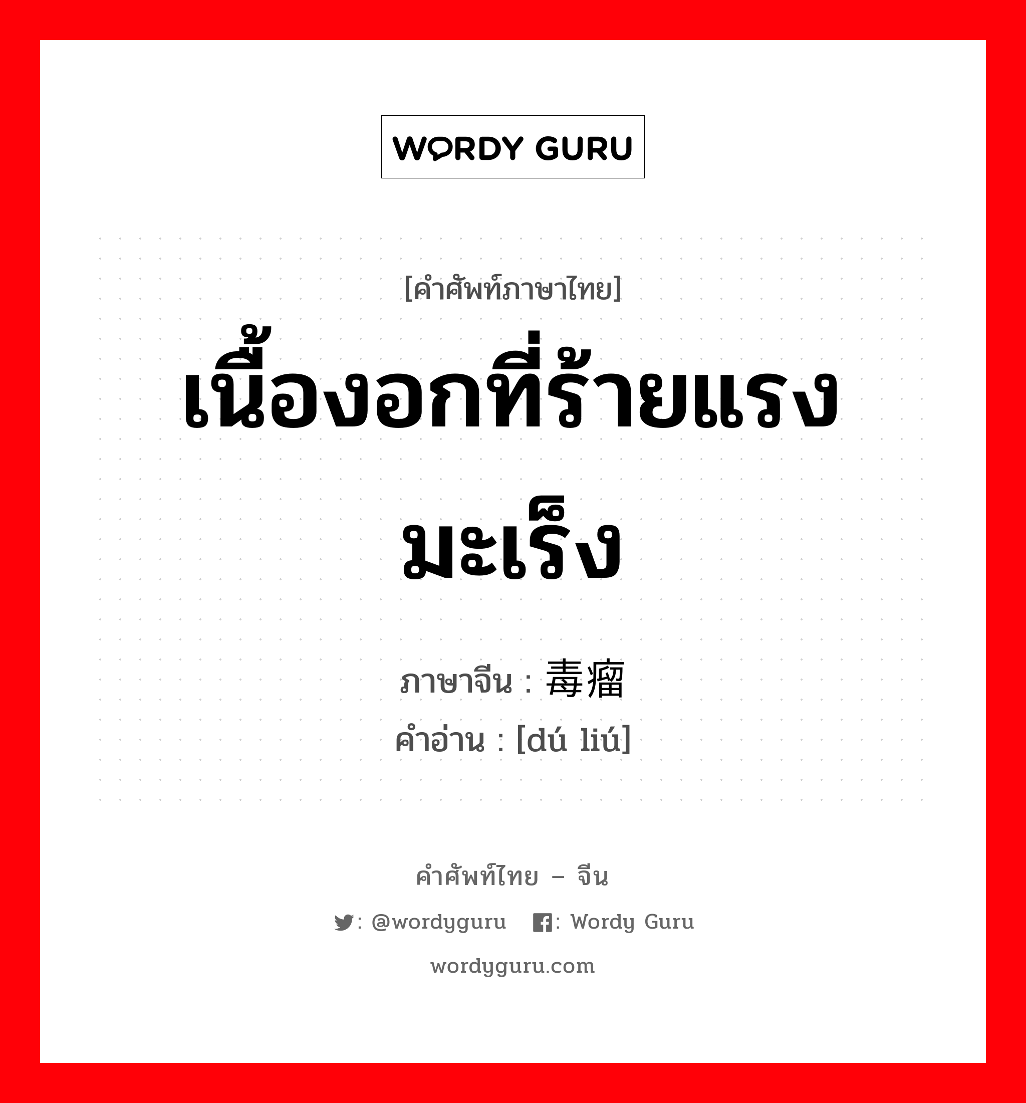 เนื้องอกที่ร้ายแรงมะเร็ง ภาษาจีนคืออะไร, คำศัพท์ภาษาไทย - จีน เนื้องอกที่ร้ายแรงมะเร็ง ภาษาจีน 毒瘤 คำอ่าน [dú liú]