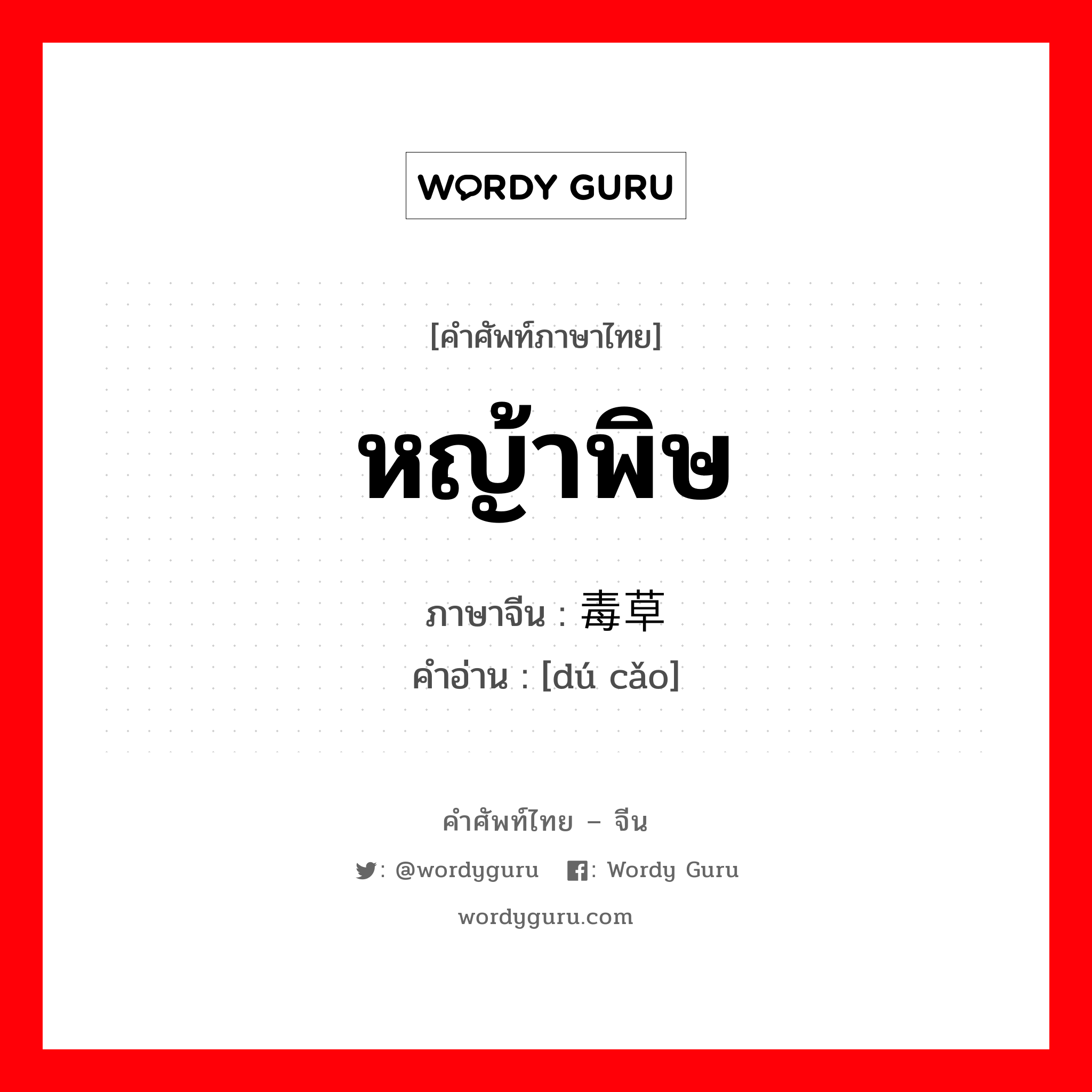 หญ้าพิษ ภาษาจีนคืออะไร, คำศัพท์ภาษาไทย - จีน หญ้าพิษ ภาษาจีน 毒草 คำอ่าน [dú cǎo]