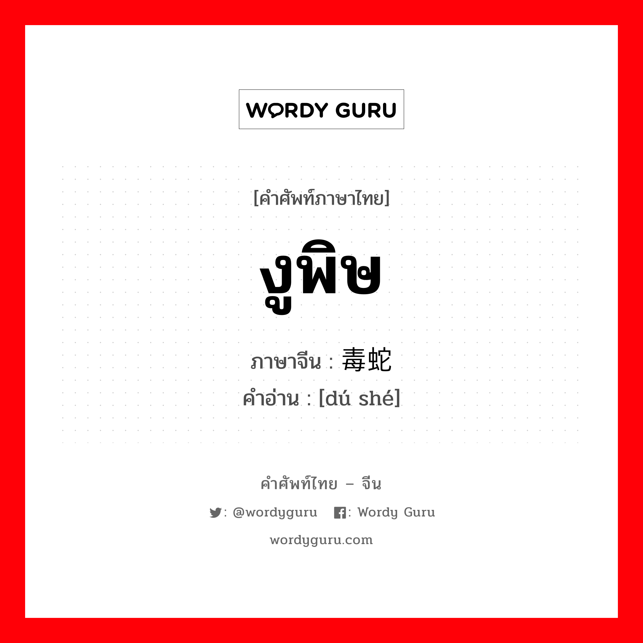 งูพิษ ภาษาจีนคืออะไร, คำศัพท์ภาษาไทย - จีน งูพิษ ภาษาจีน 毒蛇 คำอ่าน [dú shé]