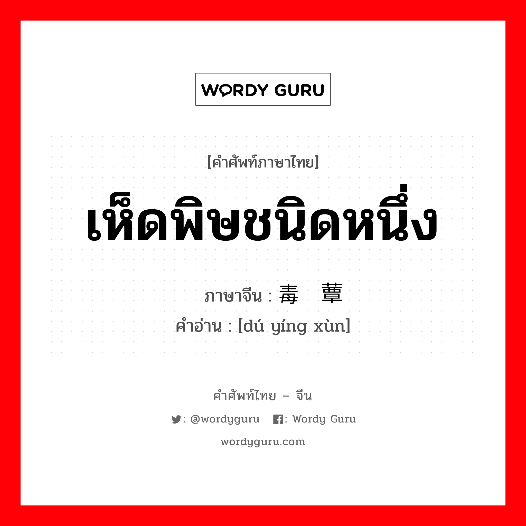 เห็ดพิษชนิดหนึ่ง ภาษาจีนคืออะไร, คำศัพท์ภาษาไทย - จีน เห็ดพิษชนิดหนึ่ง ภาษาจีน 毒蝇蕈 คำอ่าน [dú yíng xùn]