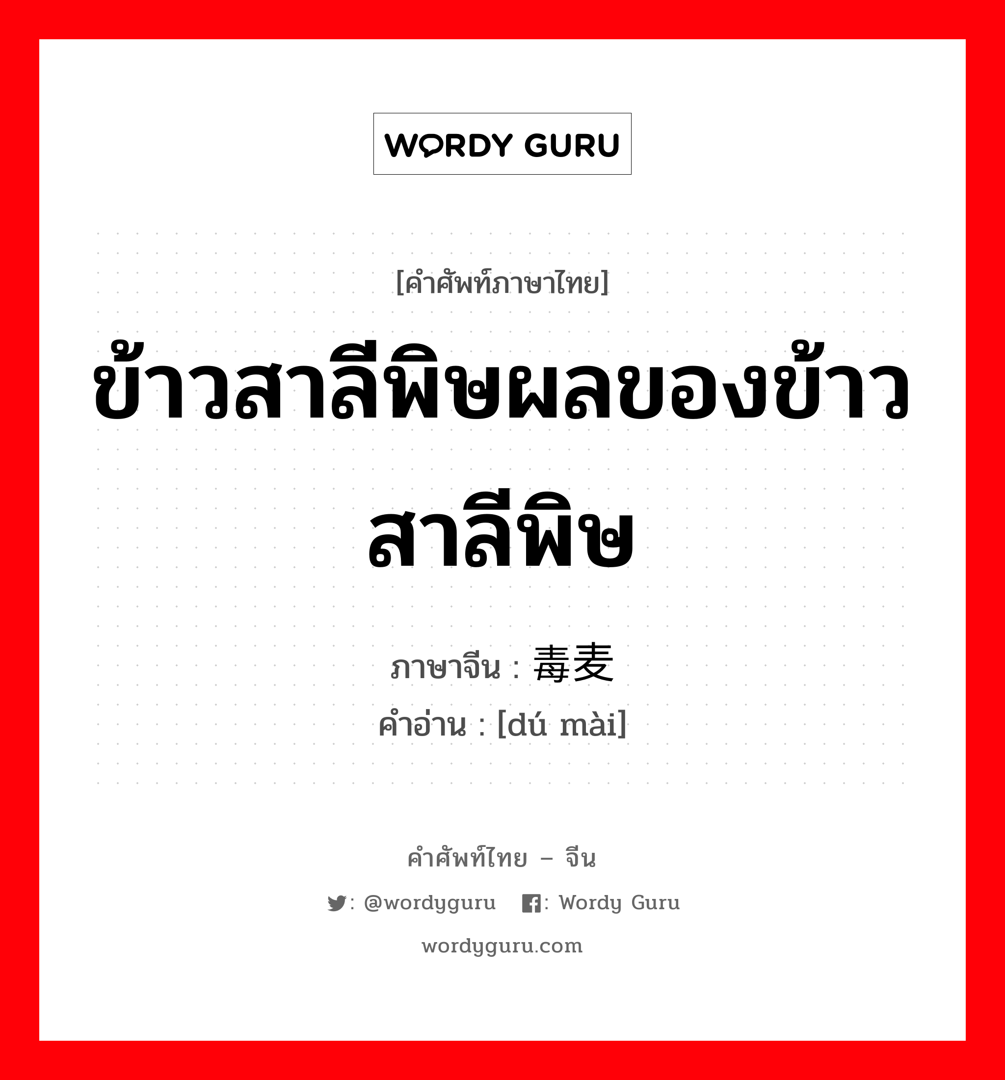 ข้าวสาลีพิษผลของข้าวสาลีพิษ ภาษาจีนคืออะไร, คำศัพท์ภาษาไทย - จีน ข้าวสาลีพิษผลของข้าวสาลีพิษ ภาษาจีน 毒麦 คำอ่าน [dú mài]