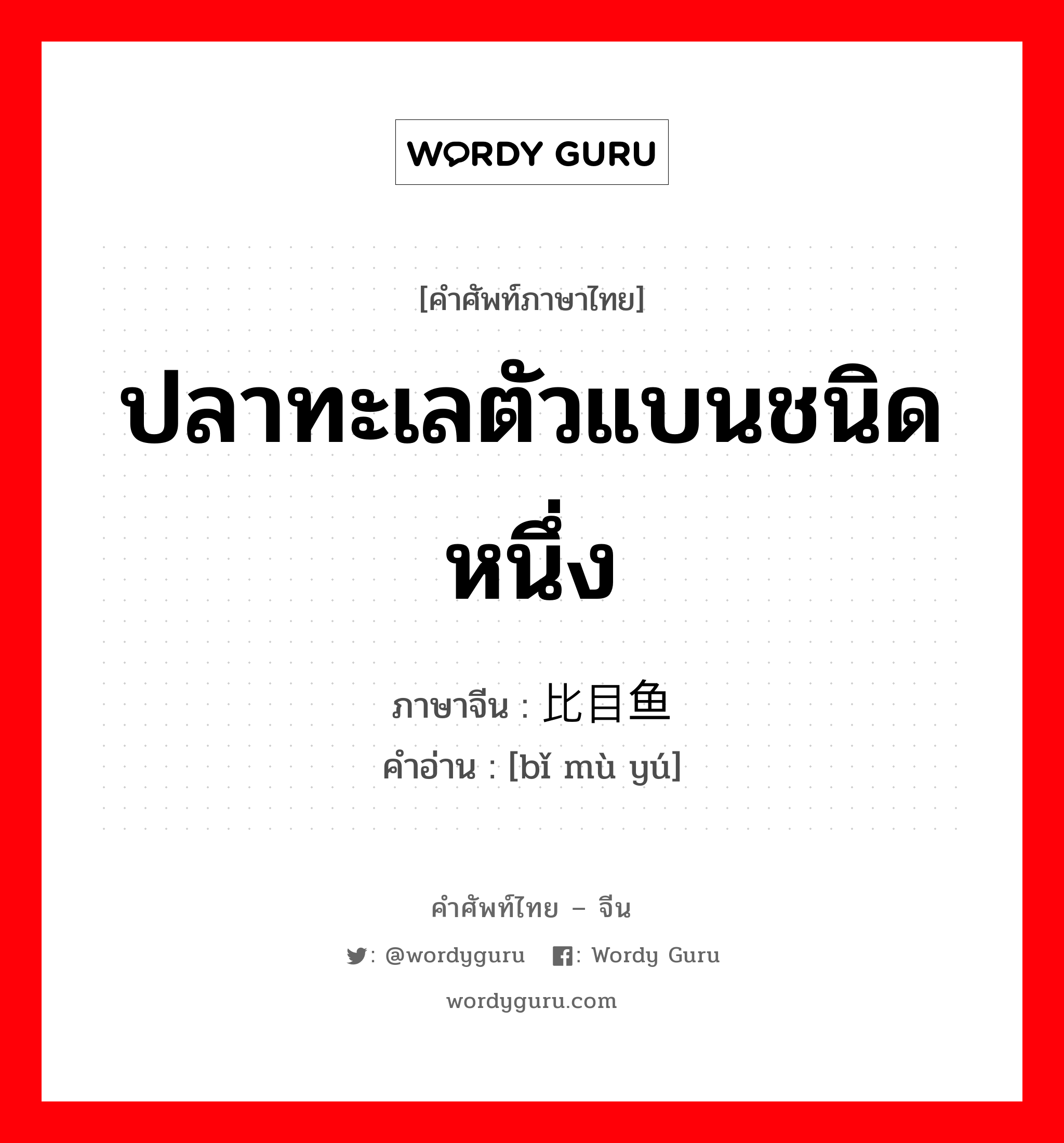 ปลาทะเลตัวแบนชนิดหนึ่ง ภาษาจีนคืออะไร, คำศัพท์ภาษาไทย - จีน ปลาทะเลตัวแบนชนิดหนึ่ง ภาษาจีน 比目鱼 คำอ่าน [bǐ mù yú]