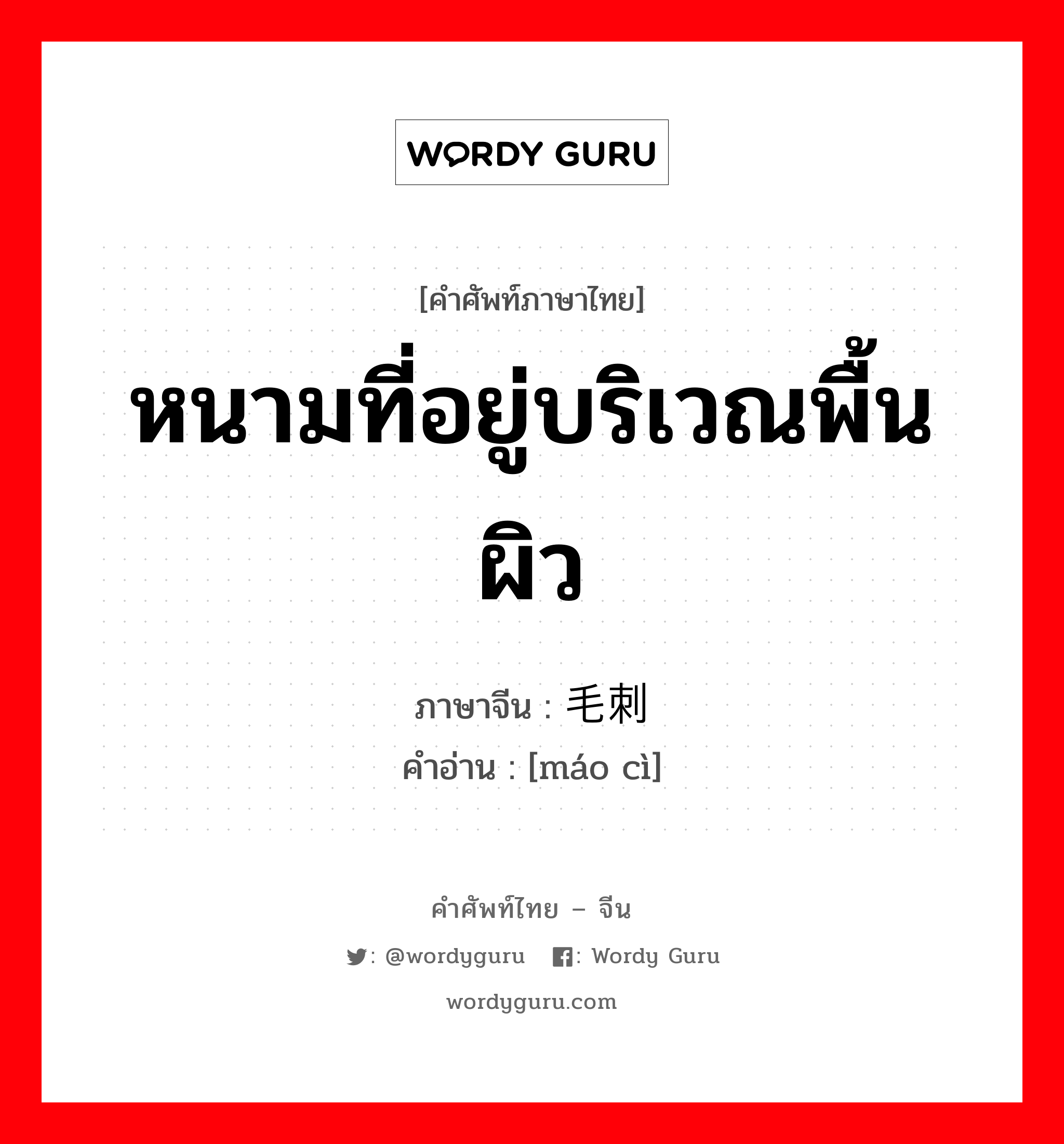 หนามที่อยู่บริเวณพื้นผิว ภาษาจีนคืออะไร, คำศัพท์ภาษาไทย - จีน หนามที่อยู่บริเวณพื้นผิว ภาษาจีน 毛刺 คำอ่าน [máo cì]