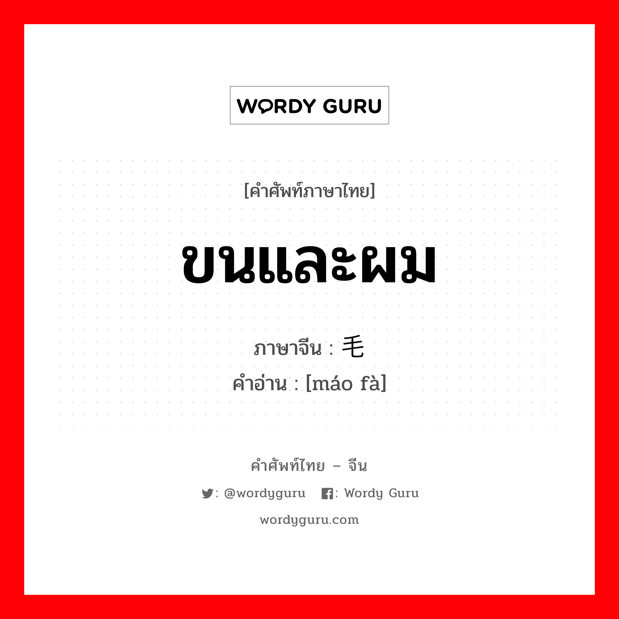 ขนและผม ภาษาจีนคืออะไร, คำศัพท์ภาษาไทย - จีน ขนและผม ภาษาจีน 毛发 คำอ่าน [máo fà]