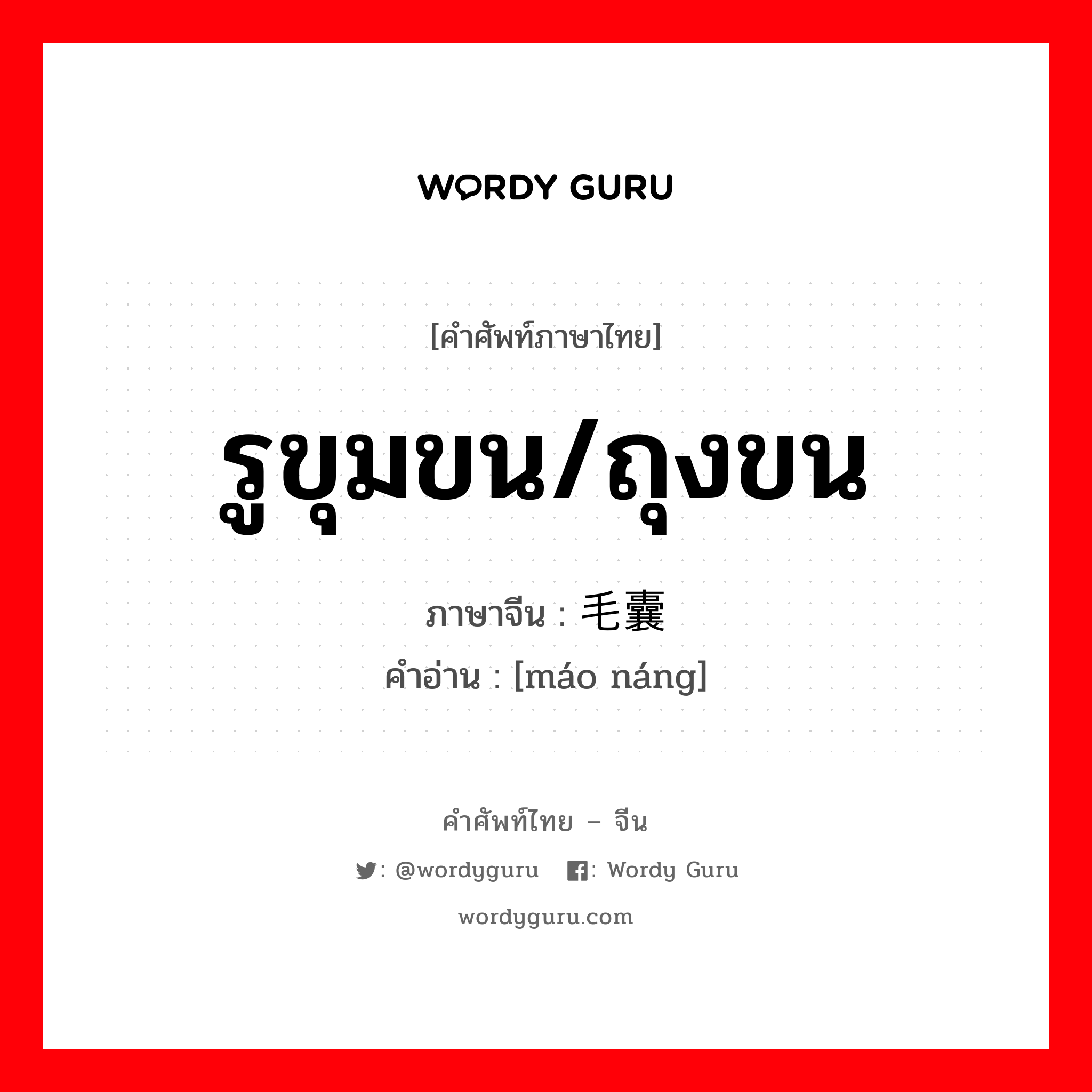 รูขุมขน/ถุงขน ภาษาจีนคืออะไร, คำศัพท์ภาษาไทย - จีน รูขุมขน/ถุงขน ภาษาจีน 毛囊 คำอ่าน [máo náng]