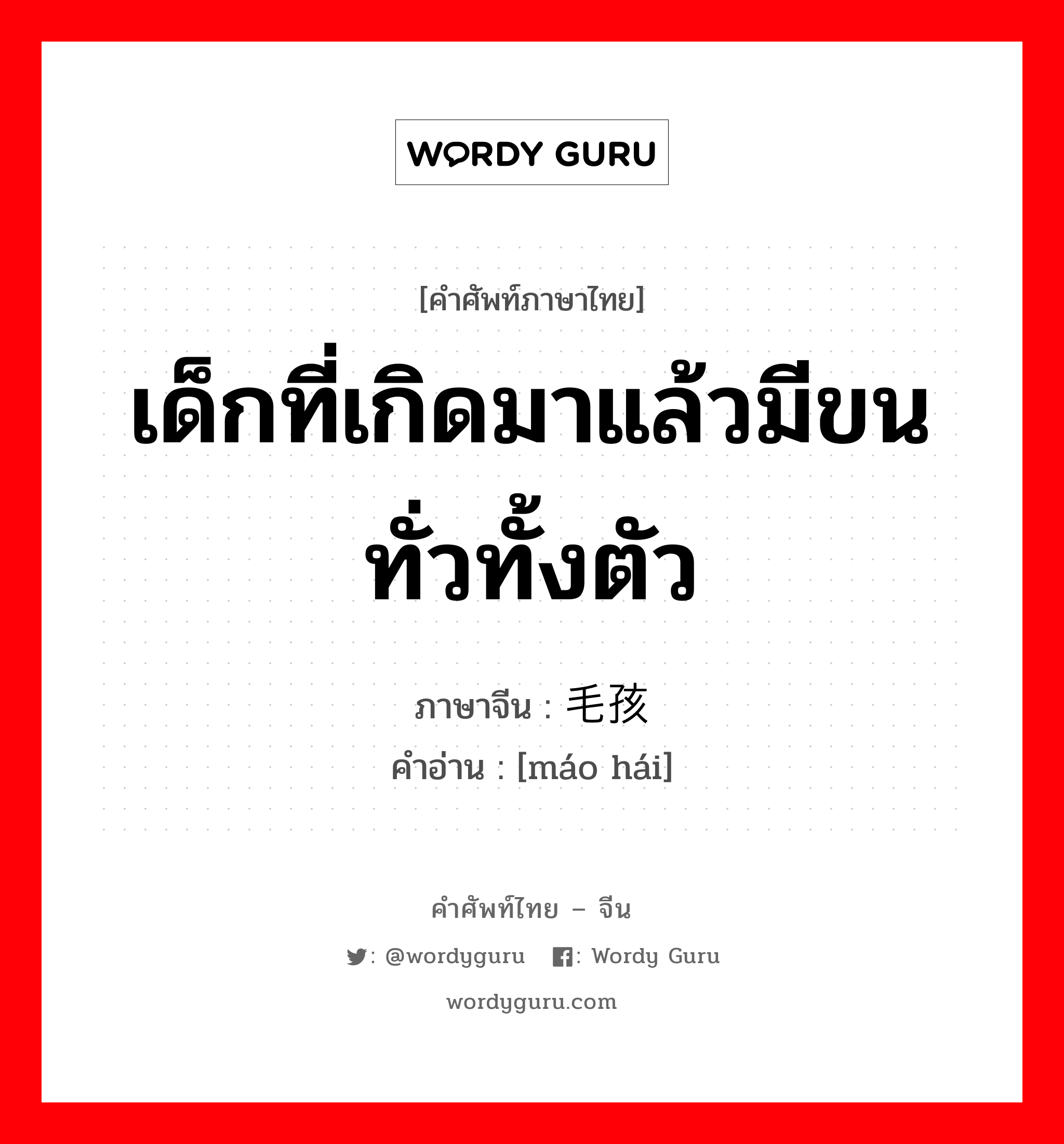 เด็กที่เกิดมาแล้วมีขนทั่วทั้งตัว ภาษาจีนคืออะไร, คำศัพท์ภาษาไทย - จีน เด็กที่เกิดมาแล้วมีขนทั่วทั้งตัว ภาษาจีน 毛孩 คำอ่าน [máo hái]