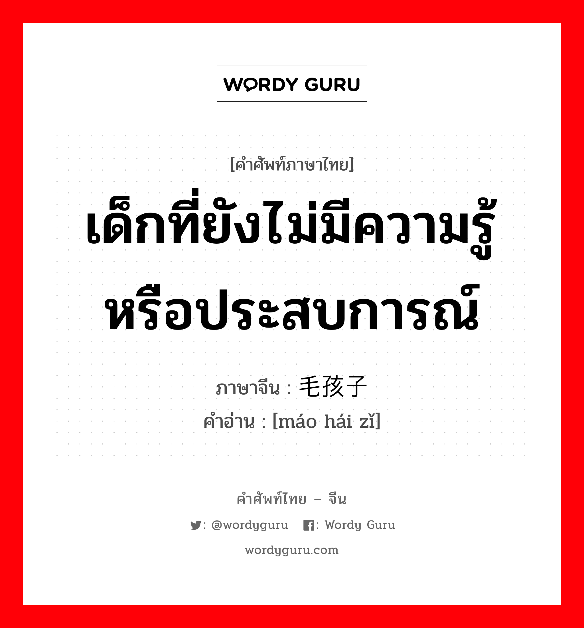 เด็กที่ยังไม่มีความรู้หรือประสบการณ์ ภาษาจีนคืออะไร, คำศัพท์ภาษาไทย - จีน เด็กที่ยังไม่มีความรู้หรือประสบการณ์ ภาษาจีน 毛孩子 คำอ่าน [máo hái zǐ]