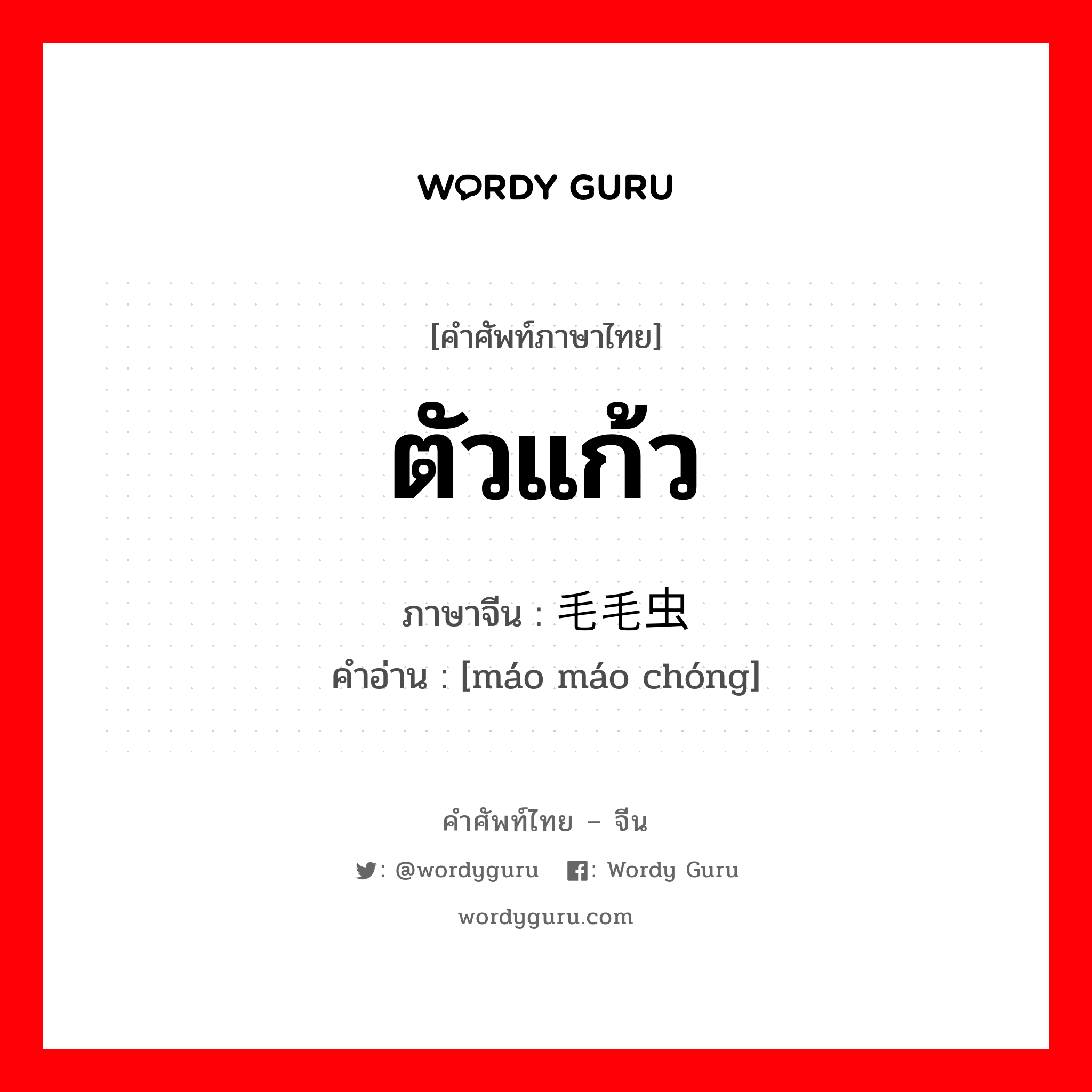 ตัวแก้ว ภาษาจีนคืออะไร, คำศัพท์ภาษาไทย - จีน ตัวแก้ว ภาษาจีน 毛毛虫 คำอ่าน [máo máo chóng]