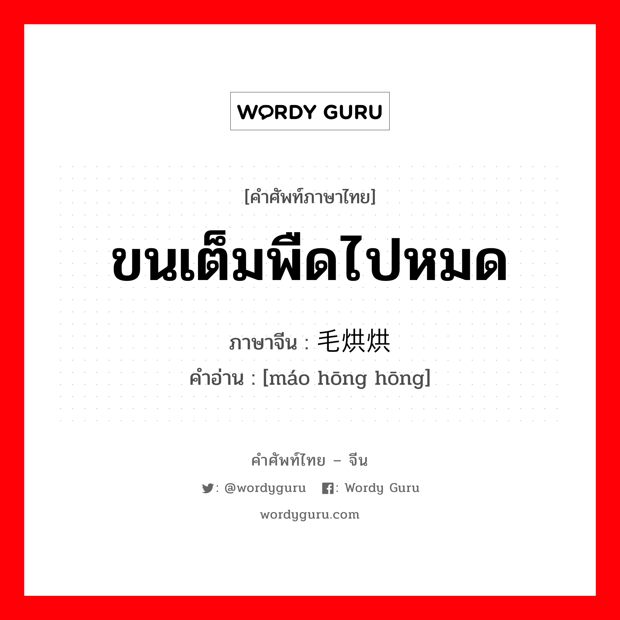 ขนเต็มพืดไปหมด ภาษาจีนคืออะไร, คำศัพท์ภาษาไทย - จีน ขนเต็มพืดไปหมด ภาษาจีน 毛烘烘 คำอ่าน [máo hōng hōng]