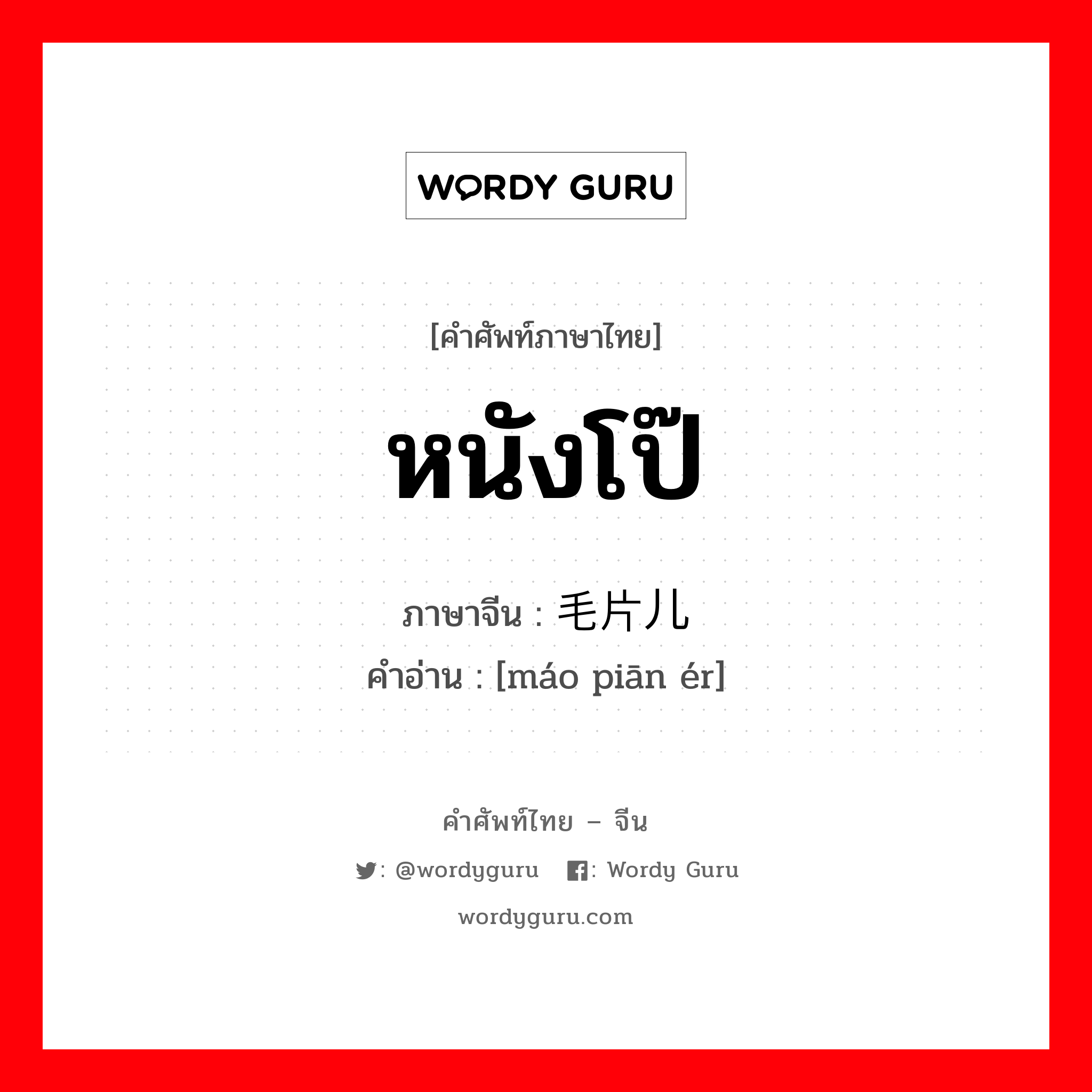 หนังโป๊ ภาษาจีนคืออะไร, คำศัพท์ภาษาไทย - จีน หนังโป๊ ภาษาจีน 毛片儿 คำอ่าน [máo piān ér]