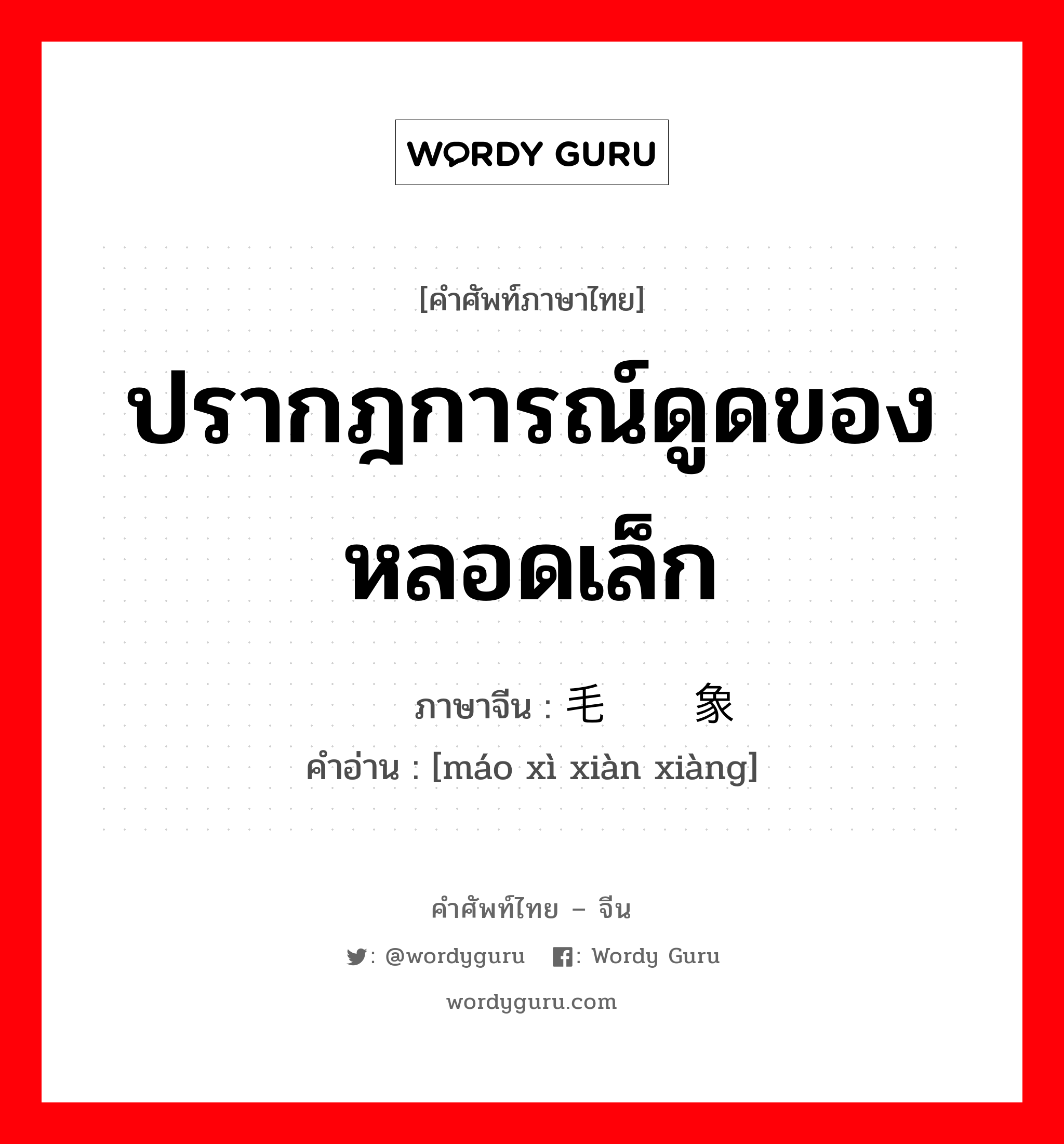 ปรากฎการณ์ดูดของหลอดเล็ก ภาษาจีนคืออะไร, คำศัพท์ภาษาไทย - จีน ปรากฎการณ์ดูดของหลอดเล็ก ภาษาจีน 毛细现象 คำอ่าน [máo xì xiàn xiàng]