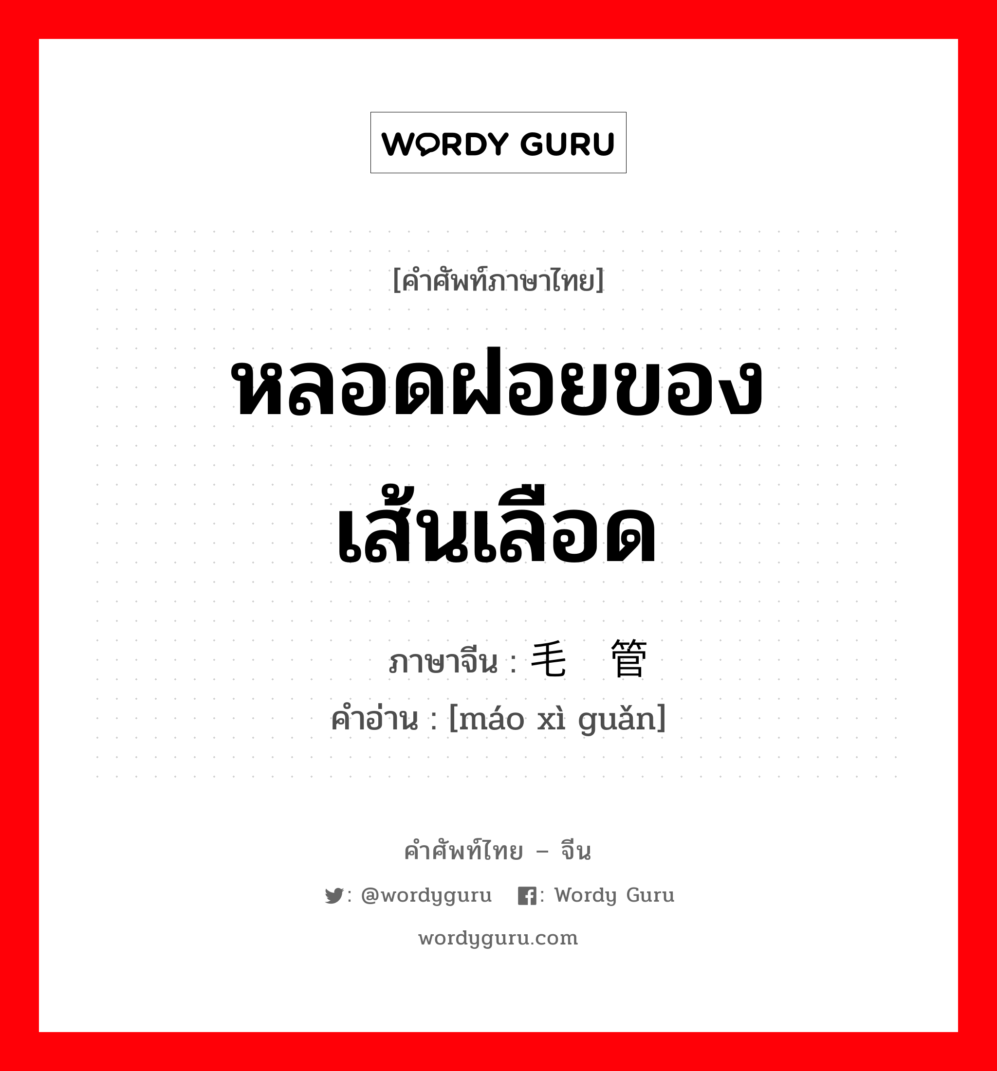 หลอดฝอยของเส้นเลือด ภาษาจีนคืออะไร, คำศัพท์ภาษาไทย - จีน หลอดฝอยของเส้นเลือด ภาษาจีน 毛细管 คำอ่าน [máo xì guǎn]