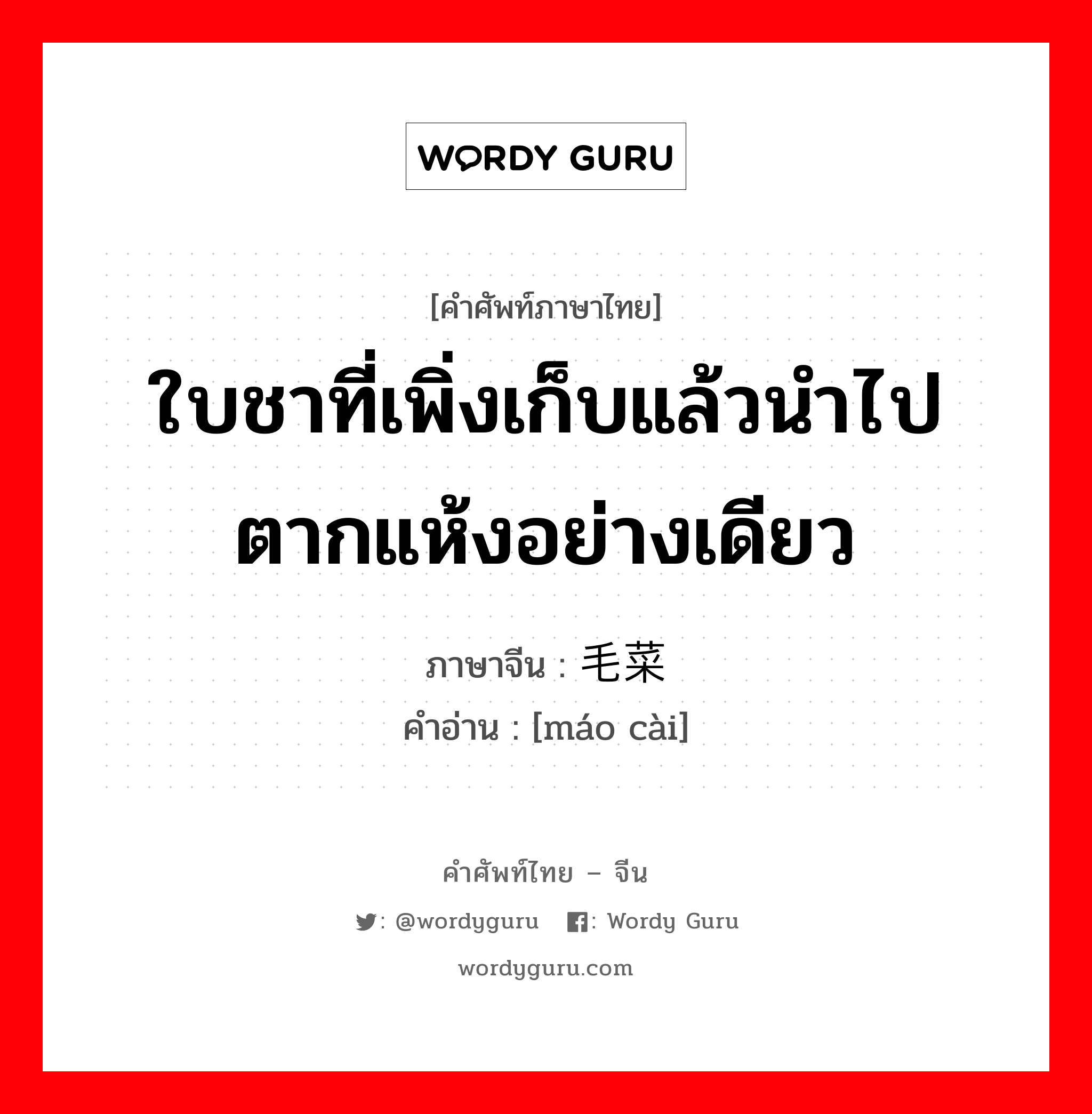 ใบชาที่เพิ่งเก็บแล้วนำไปตากแห้งอย่างเดียว ภาษาจีนคืออะไร, คำศัพท์ภาษาไทย - จีน ใบชาที่เพิ่งเก็บแล้วนำไปตากแห้งอย่างเดียว ภาษาจีน 毛菜 คำอ่าน [máo cài]