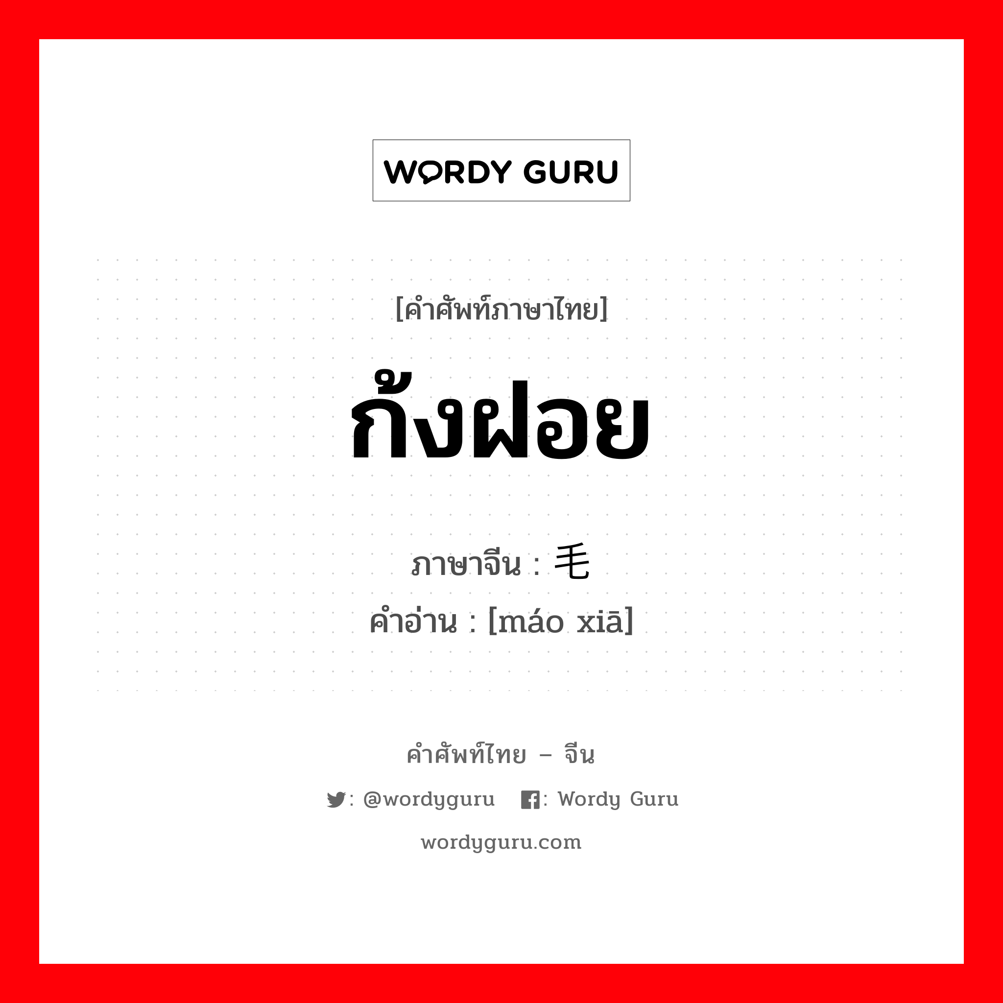 ก้งฝอย ภาษาจีนคืออะไร, คำศัพท์ภาษาไทย - จีน ก้งฝอย ภาษาจีน 毛虾 คำอ่าน [máo xiā]