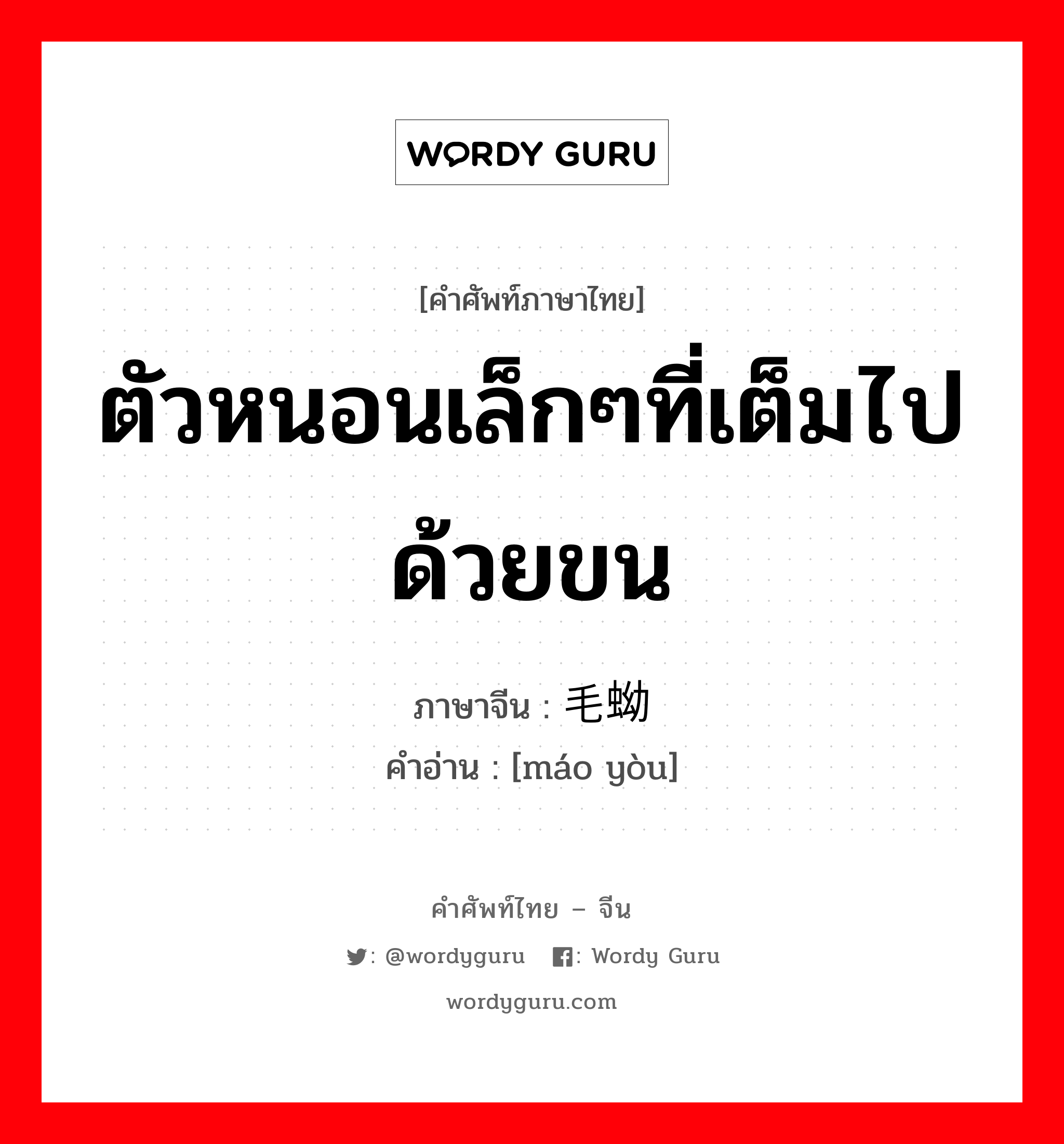 ตัวหนอนเล็กๆที่เต็มไปด้วยขน ภาษาจีนคืออะไร, คำศัพท์ภาษาไทย - จีน ตัวหนอนเล็กๆที่เต็มไปด้วยขน ภาษาจีน 毛蚴 คำอ่าน [máo yòu]