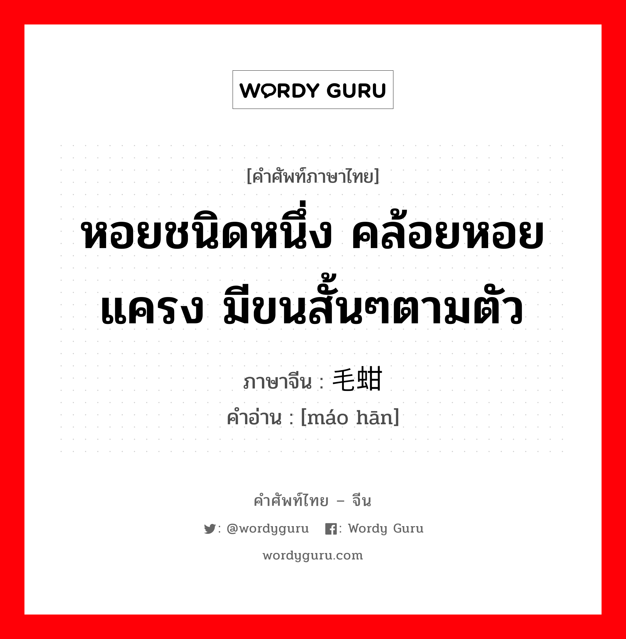 หอยชนิดหนึ่ง คล้อยหอยแครง มีขนสั้นๆตามตัว ภาษาจีนคืออะไร, คำศัพท์ภาษาไทย - จีน หอยชนิดหนึ่ง คล้อยหอยแครง มีขนสั้นๆตามตัว ภาษาจีน 毛蚶 คำอ่าน [máo hān]