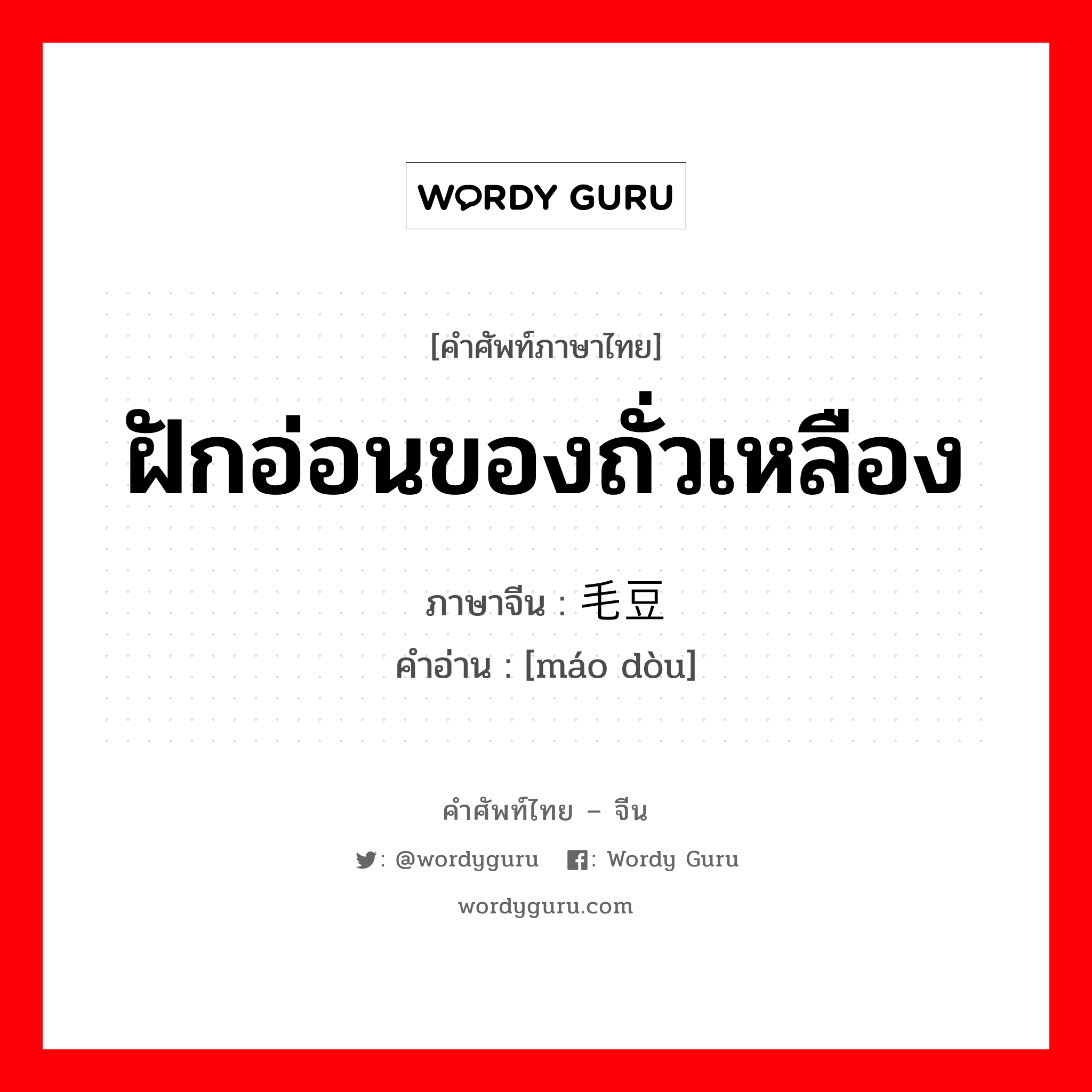 ฝักอ่อนของถั่วเหลือง ภาษาจีนคืออะไร, คำศัพท์ภาษาไทย - จีน ฝักอ่อนของถั่วเหลือง ภาษาจีน 毛豆 คำอ่าน [máo dòu]