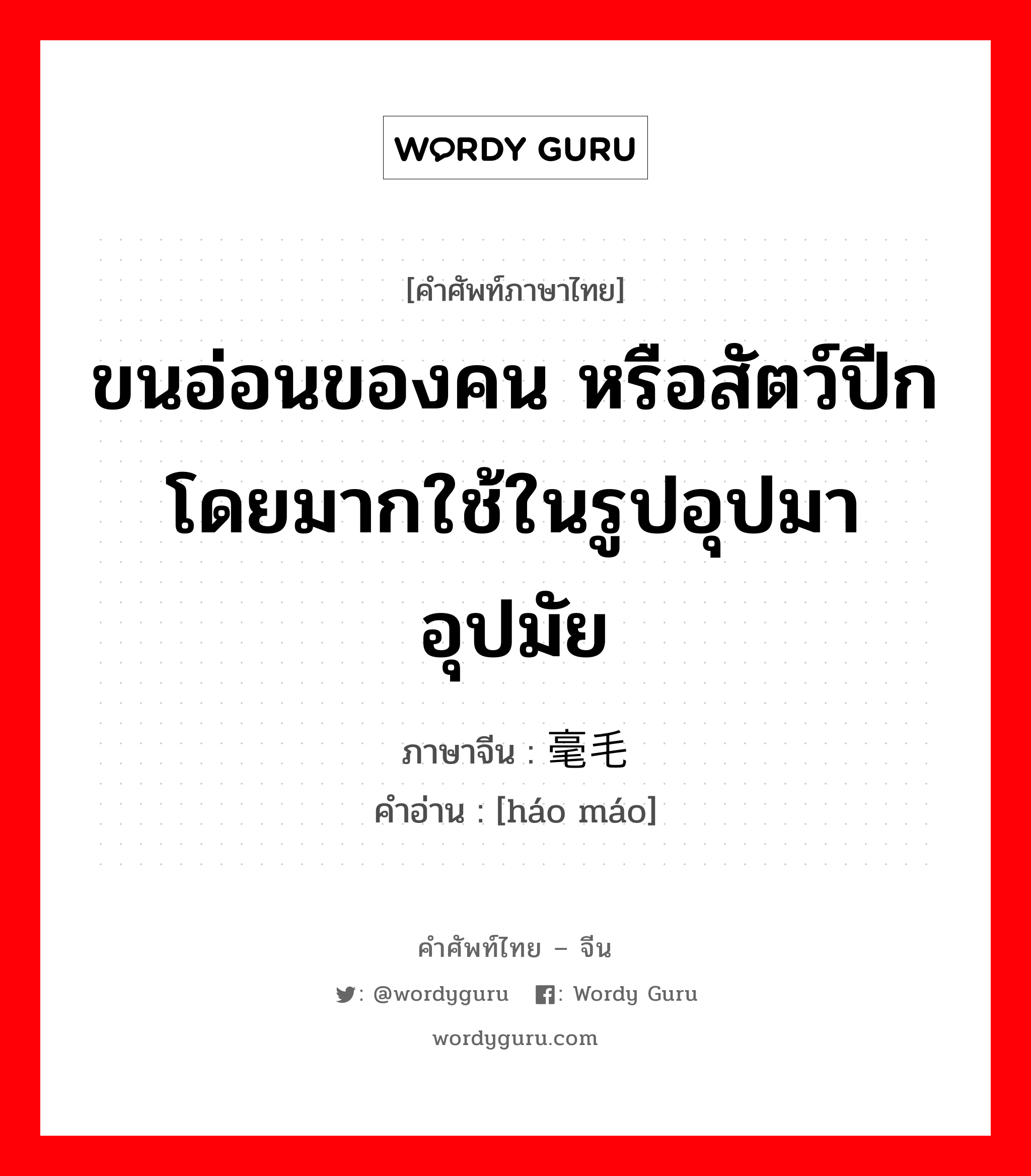 ขนอ่อนของคน หรือสัตว์ปีกโดยมากใช้ในรูปอุปมาอุปมัย ภาษาจีนคืออะไร, คำศัพท์ภาษาไทย - จีน ขนอ่อนของคน หรือสัตว์ปีกโดยมากใช้ในรูปอุปมาอุปมัย ภาษาจีน 毫毛 คำอ่าน [háo máo]