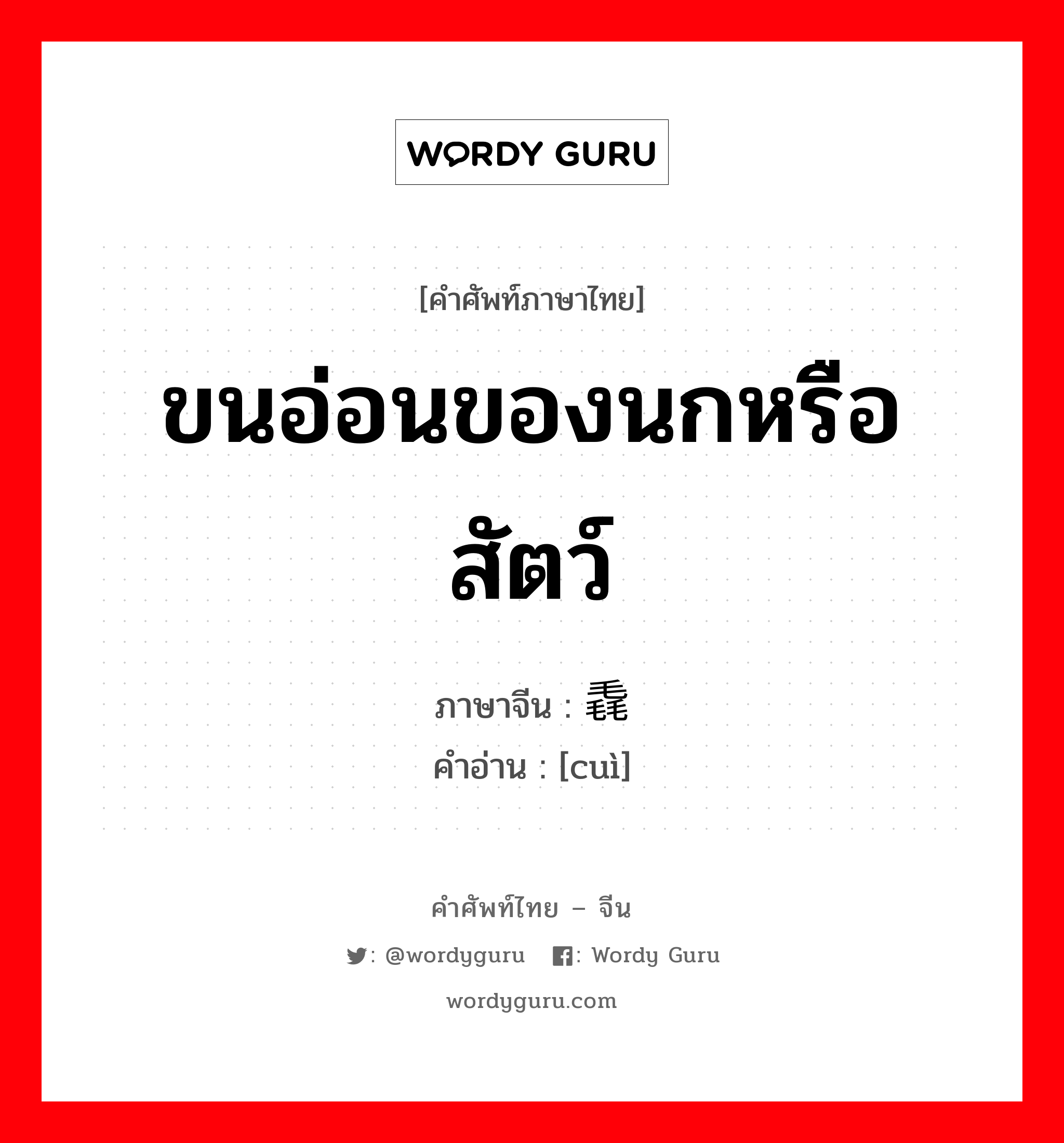 ขนอ่อนของนกหรือสัตว์ ภาษาจีนคืออะไร, คำศัพท์ภาษาไทย - จีน ขนอ่อนของนกหรือสัตว์ ภาษาจีน 毳 คำอ่าน [cuì]