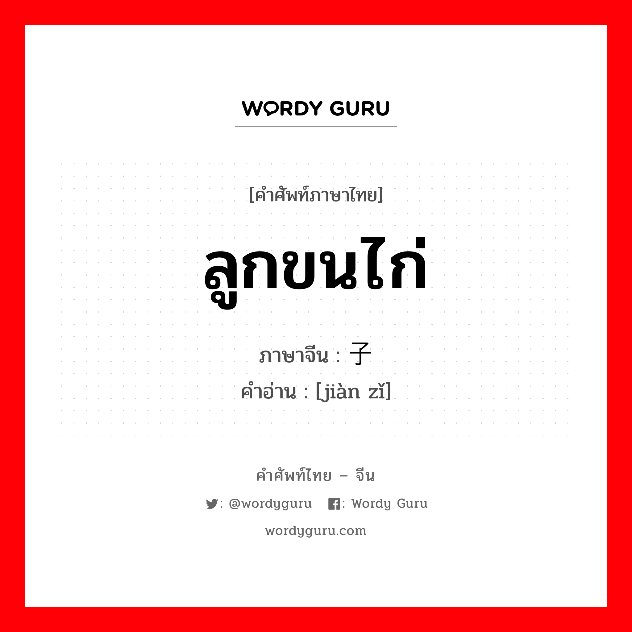 ลูกขนไก่ ภาษาจีนคืออะไร, คำศัพท์ภาษาไทย - จีน ลูกขนไก่ ภาษาจีน 毽子 คำอ่าน [jiàn zǐ]