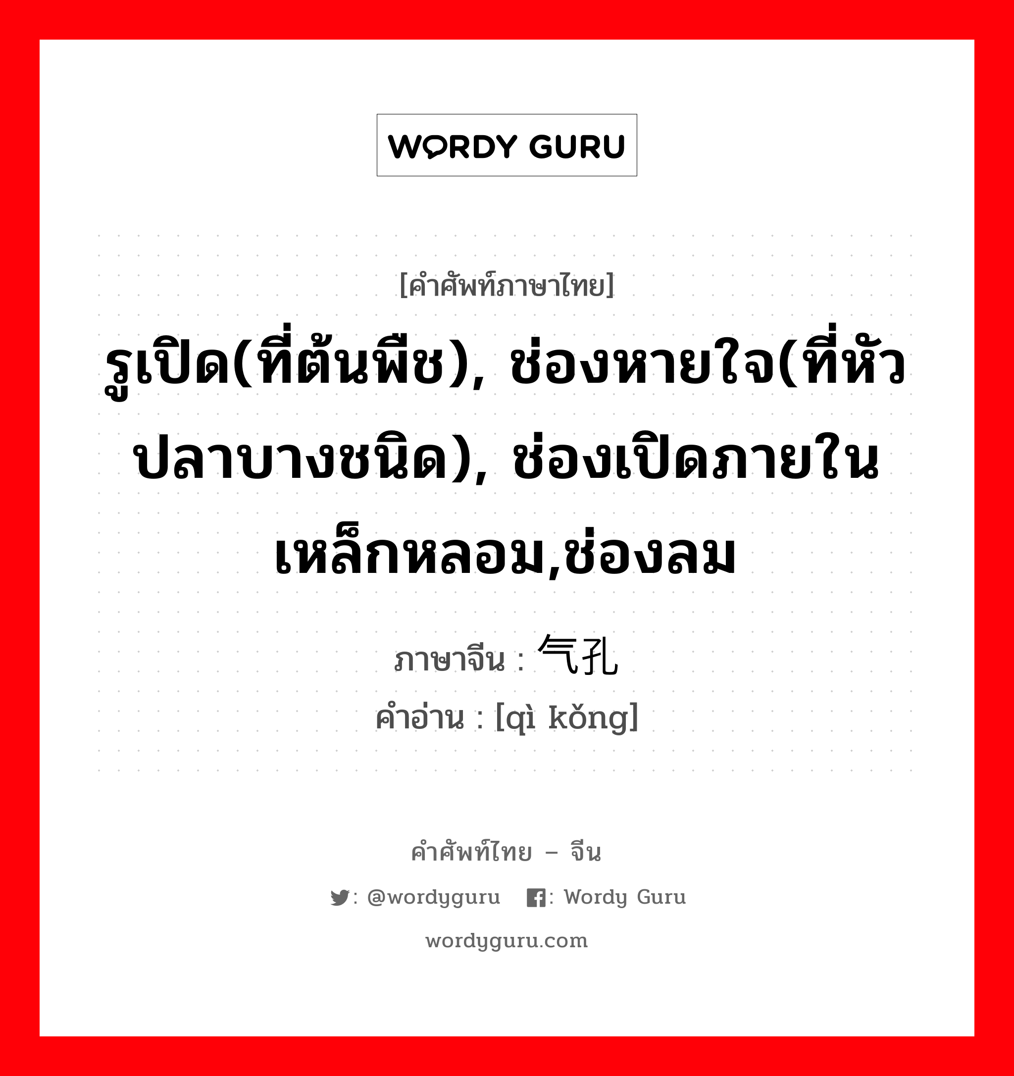 รูเปิด(ที่ต้นพืช), ช่องหายใจ(ที่หัวปลาบางชนิด), ช่องเปิดภายในเหล็กหลอม,ช่องลม ภาษาจีนคืออะไร, คำศัพท์ภาษาไทย - จีน รูเปิด(ที่ต้นพืช), ช่องหายใจ(ที่หัวปลาบางชนิด), ช่องเปิดภายในเหล็กหลอม,ช่องลม ภาษาจีน 气孔 คำอ่าน [qì kǒng]